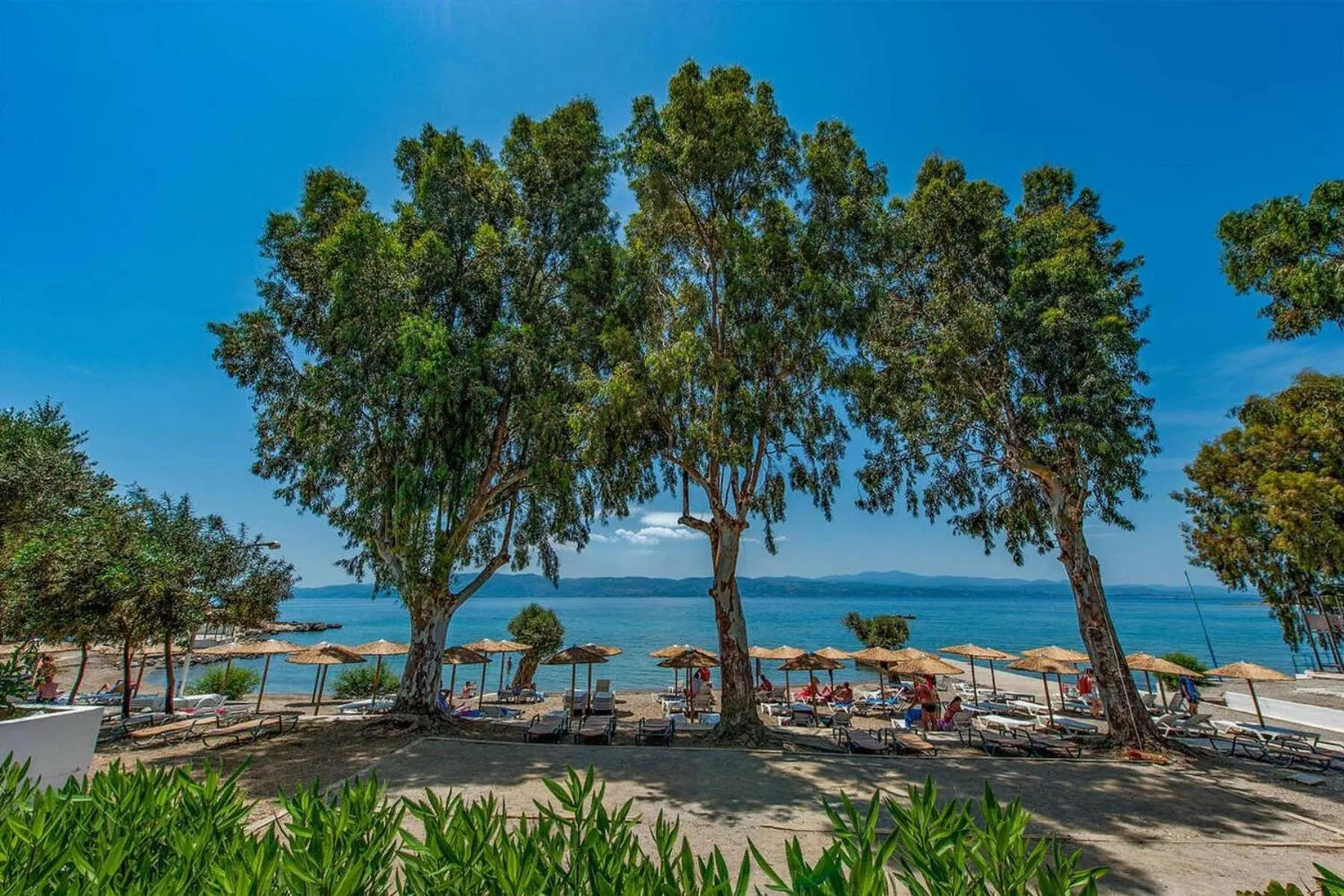 Beach in Evia Riviera Resort