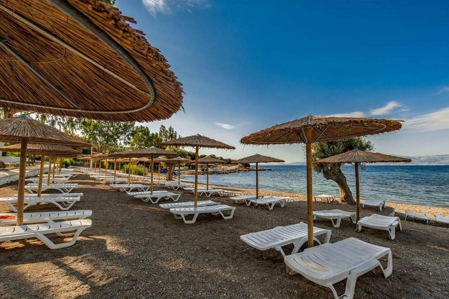 Beach in Evia Riviera Resort