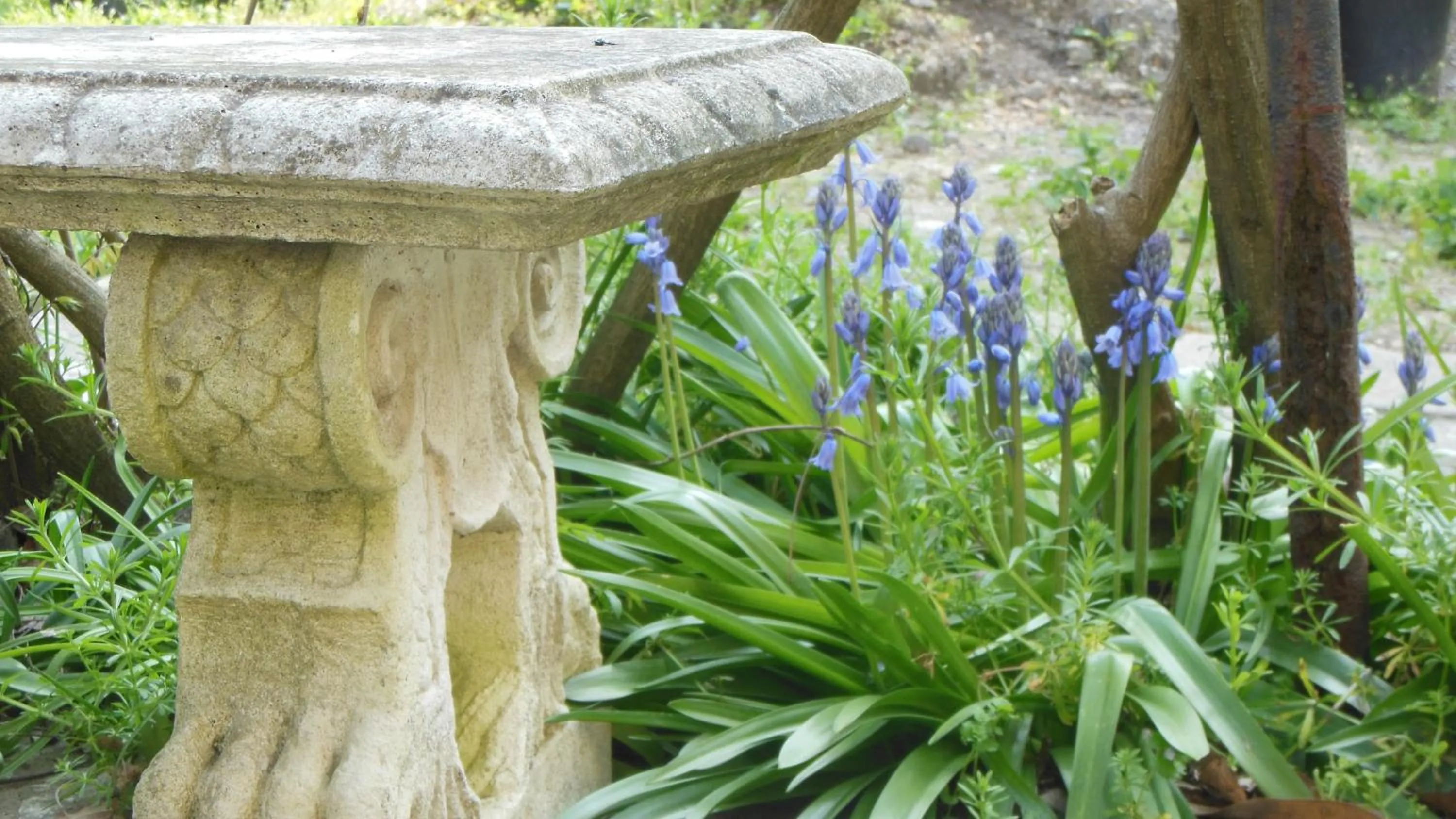 Garden in Hotel Sant'Antonin