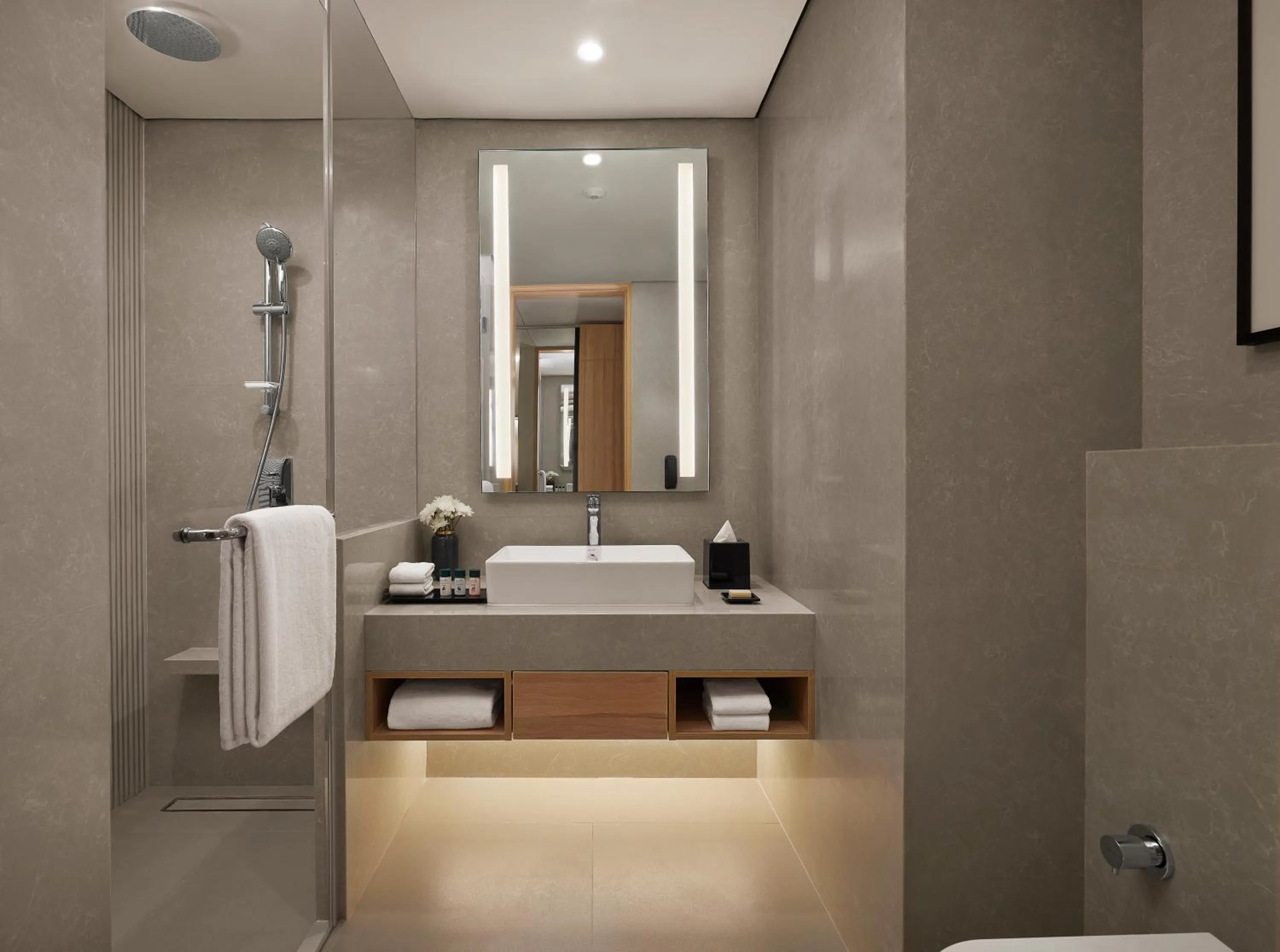 Bathroom in Hyatt Place Vadodara