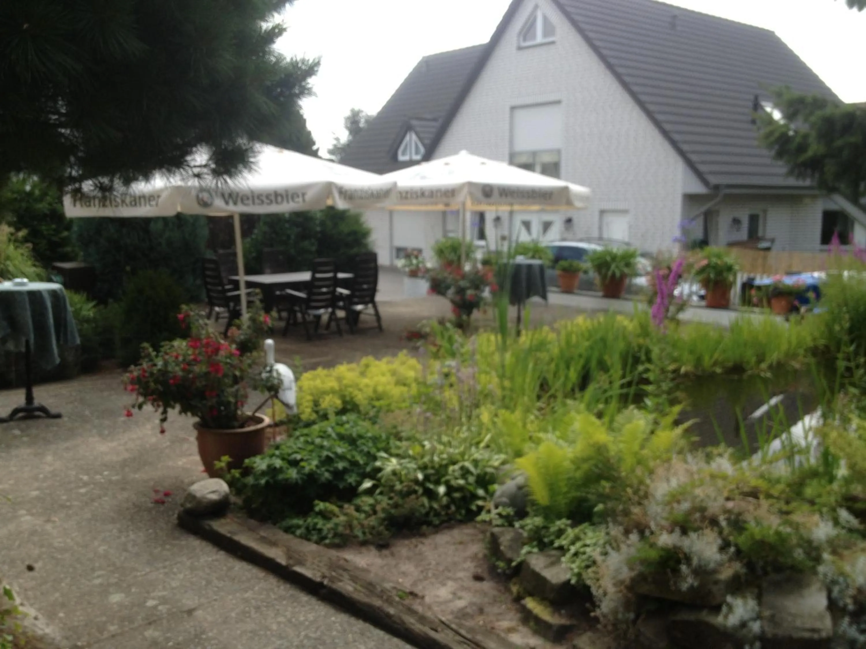 Garden in Frick's Hotel