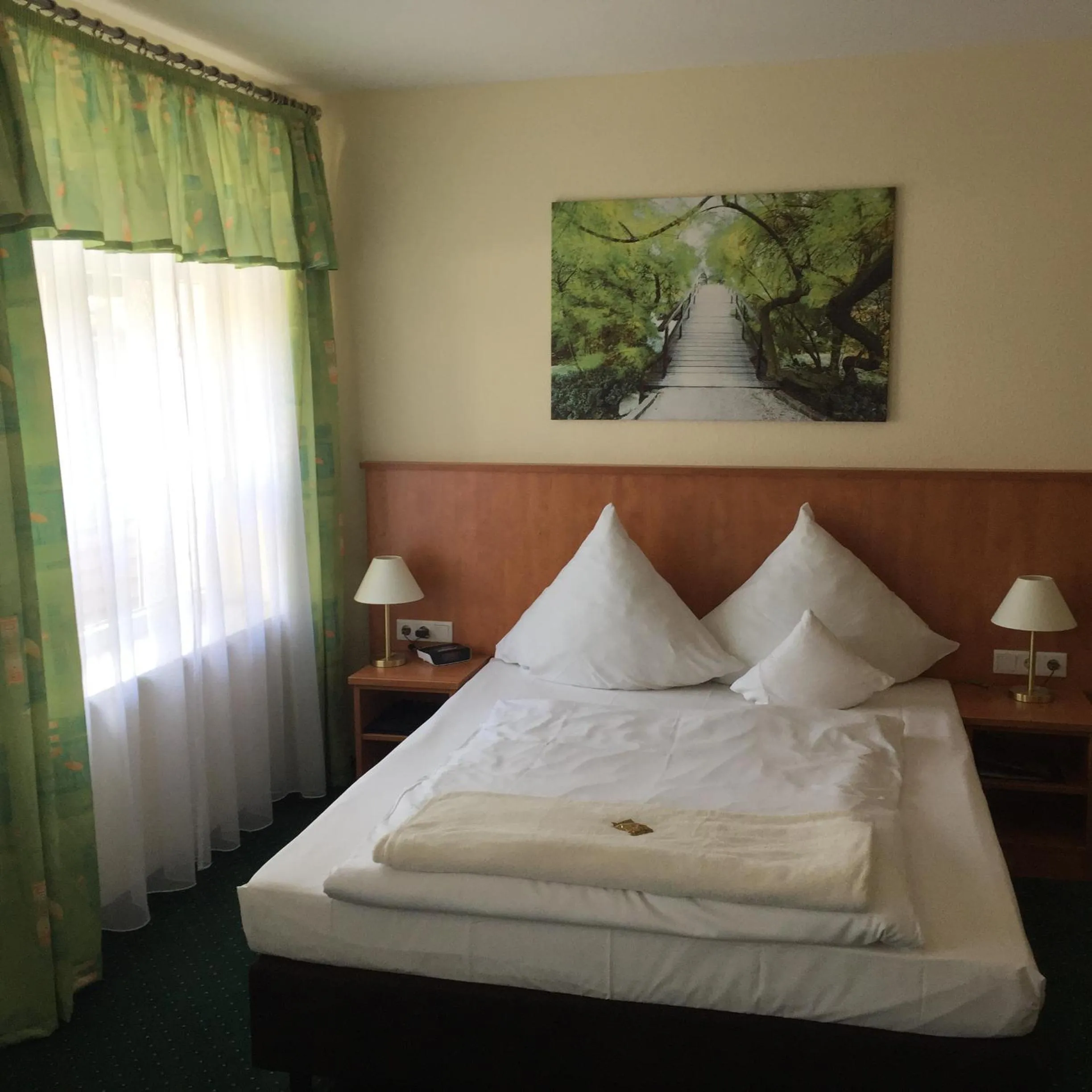 Photo of the whole room in Frick's Hotel