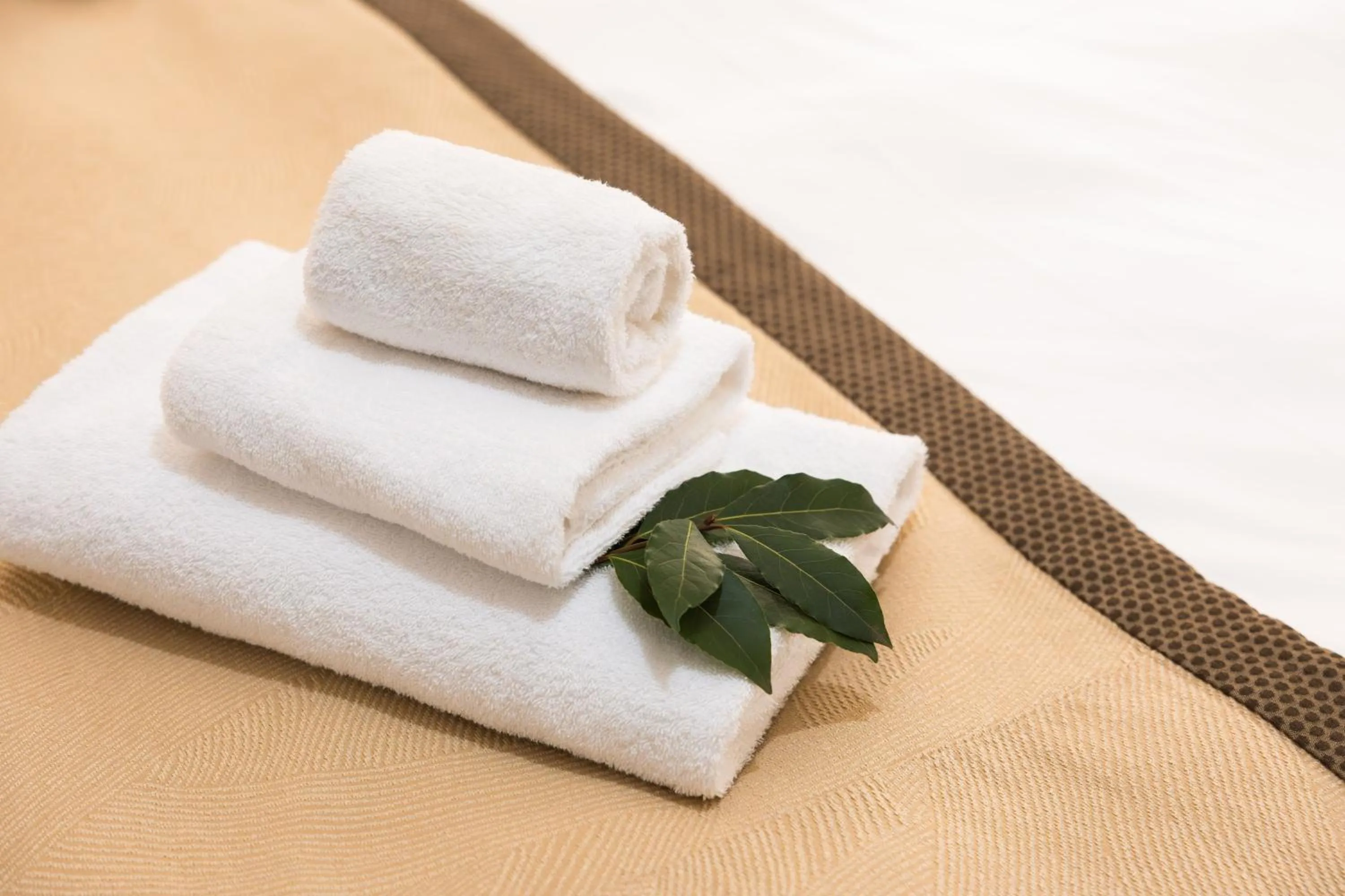 towels in Grand Central Room