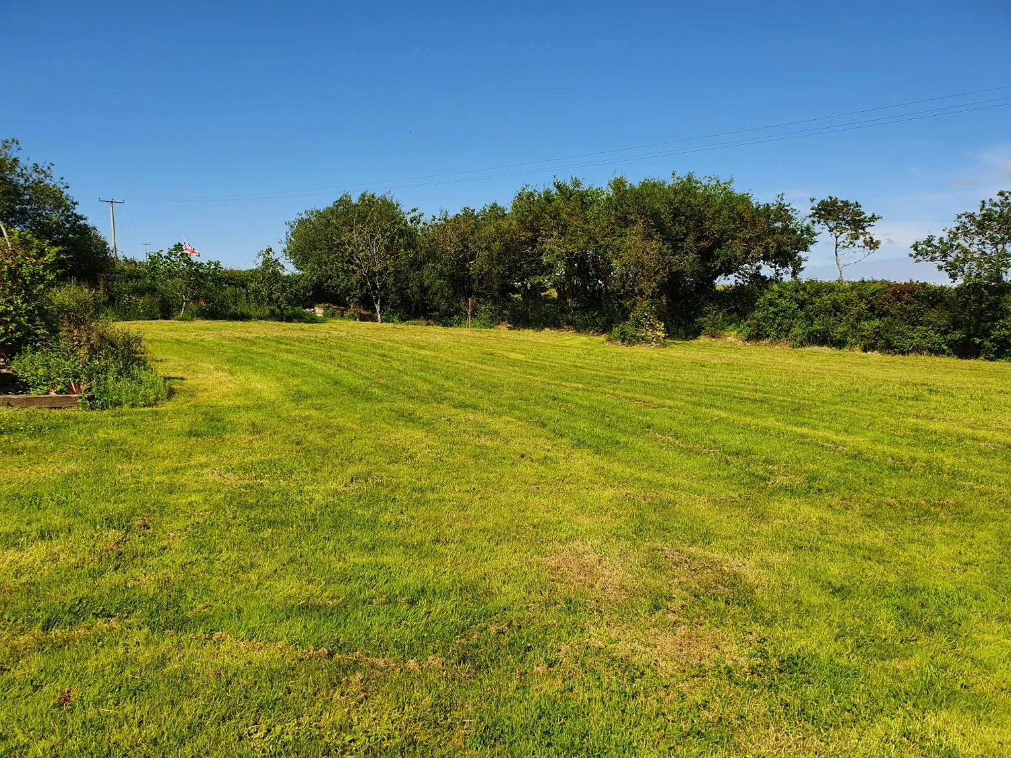 Garden in Moorview House