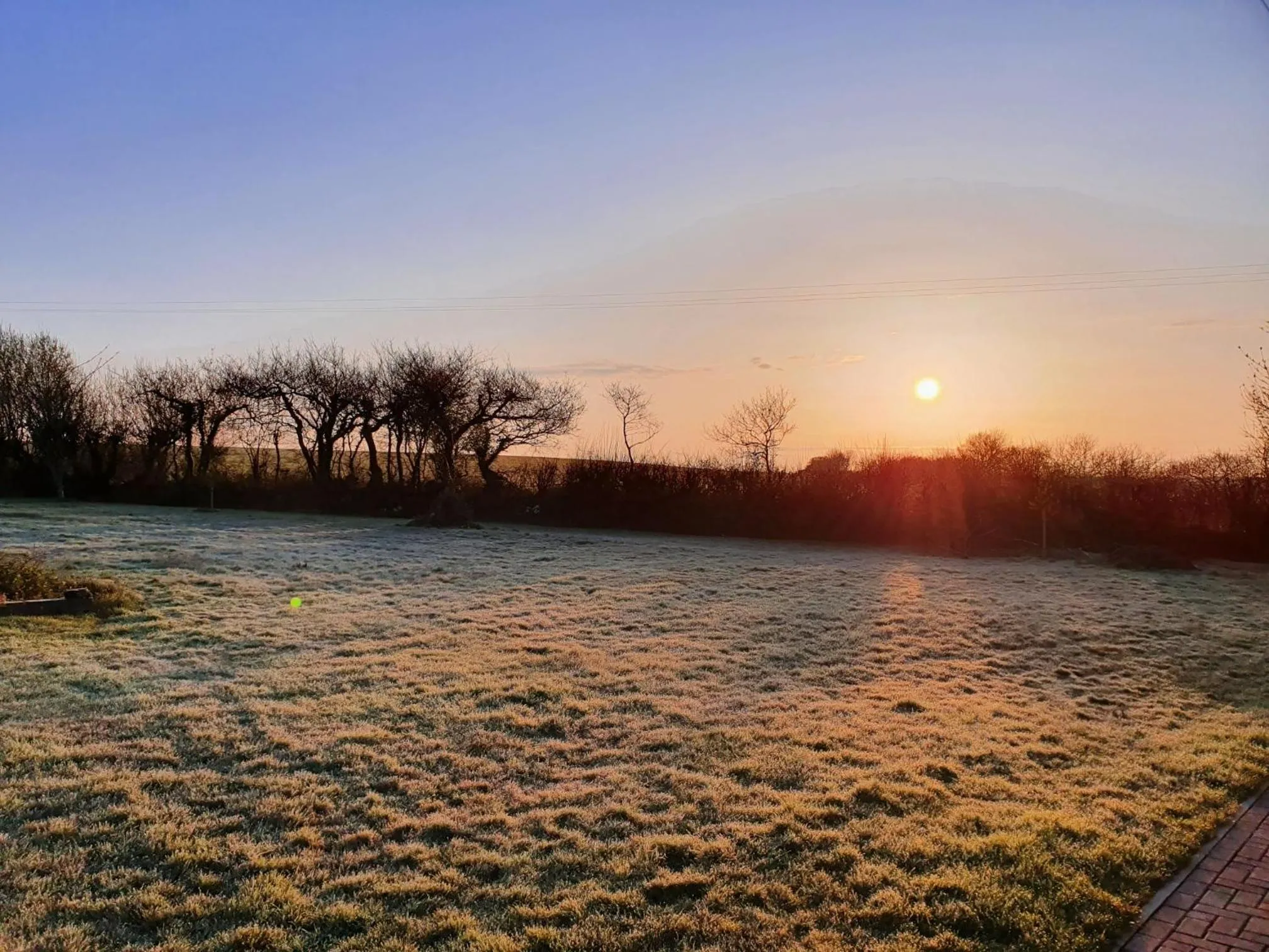 Garden view in Moorview House