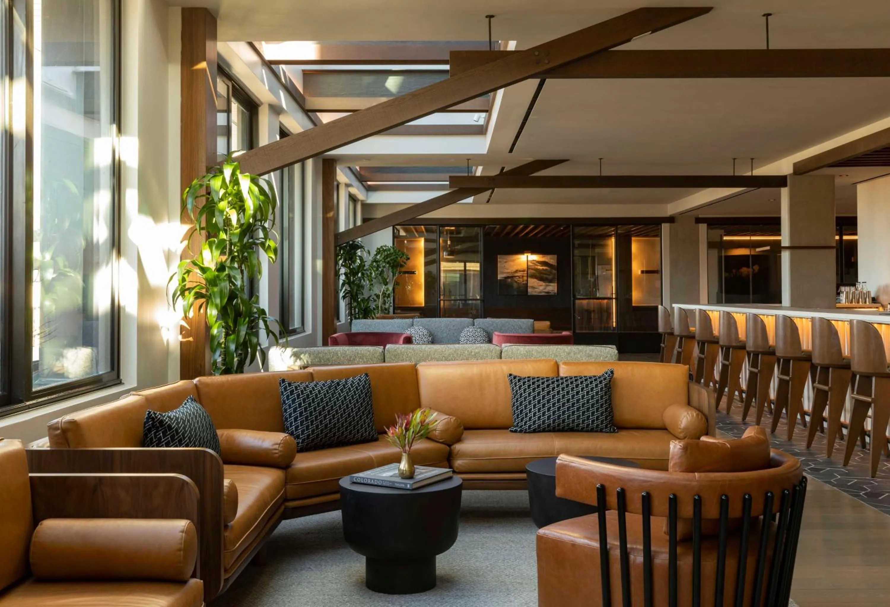 Restaurant/places to eat in Thompson Denver, by Hyatt