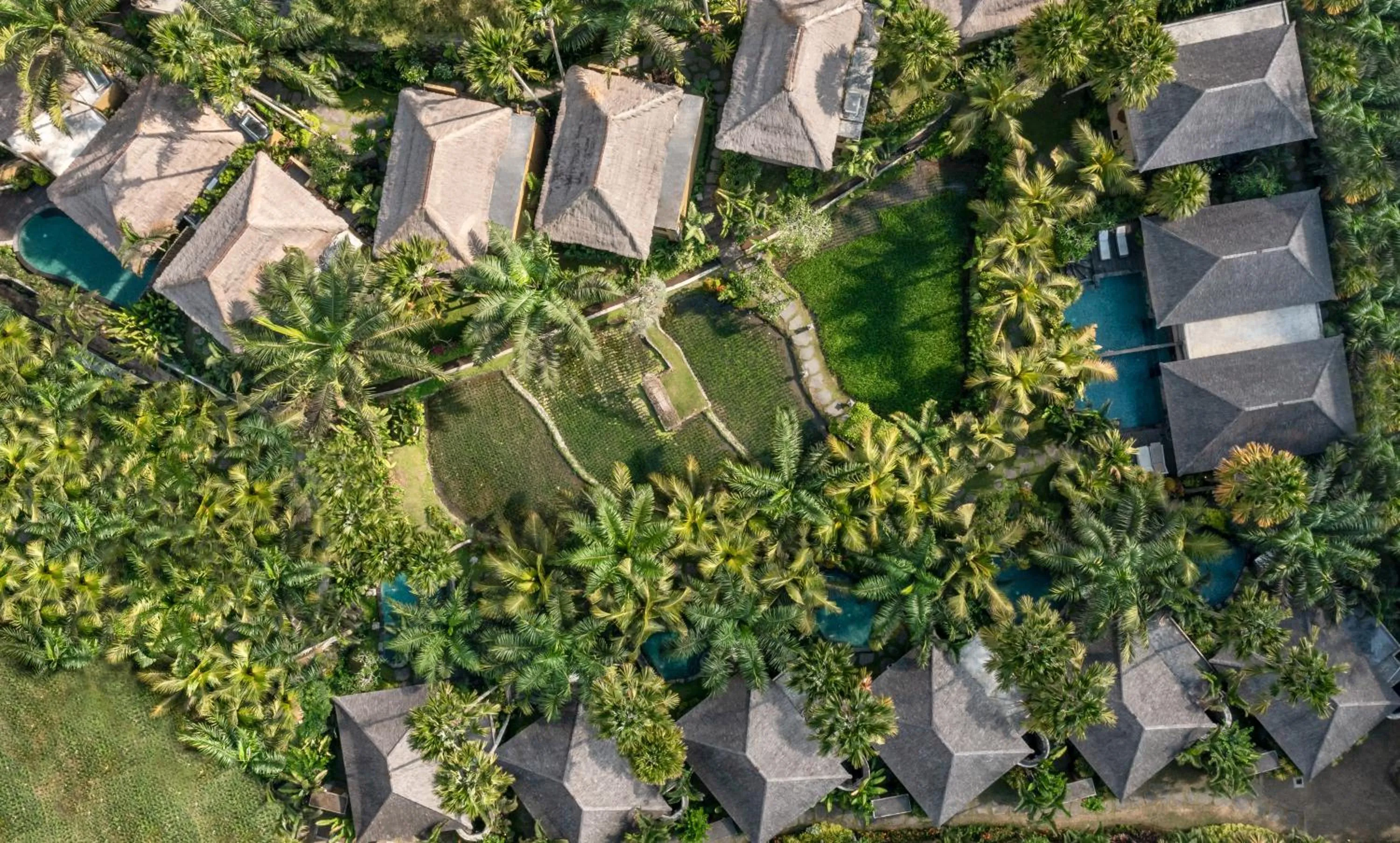 Natural landscape in The Sankara Resort & Spa