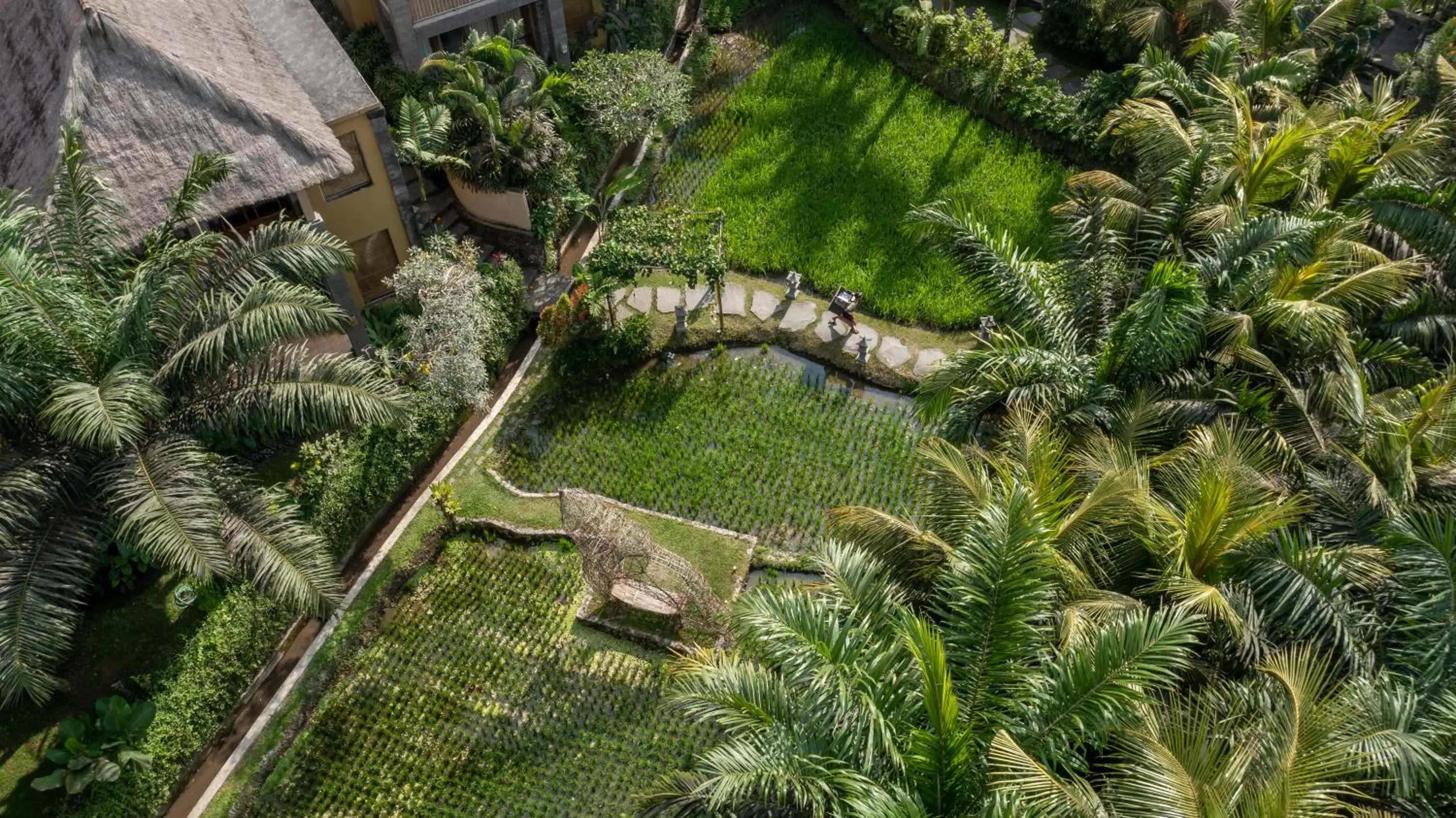 Garden in The Sankara Resort & Spa