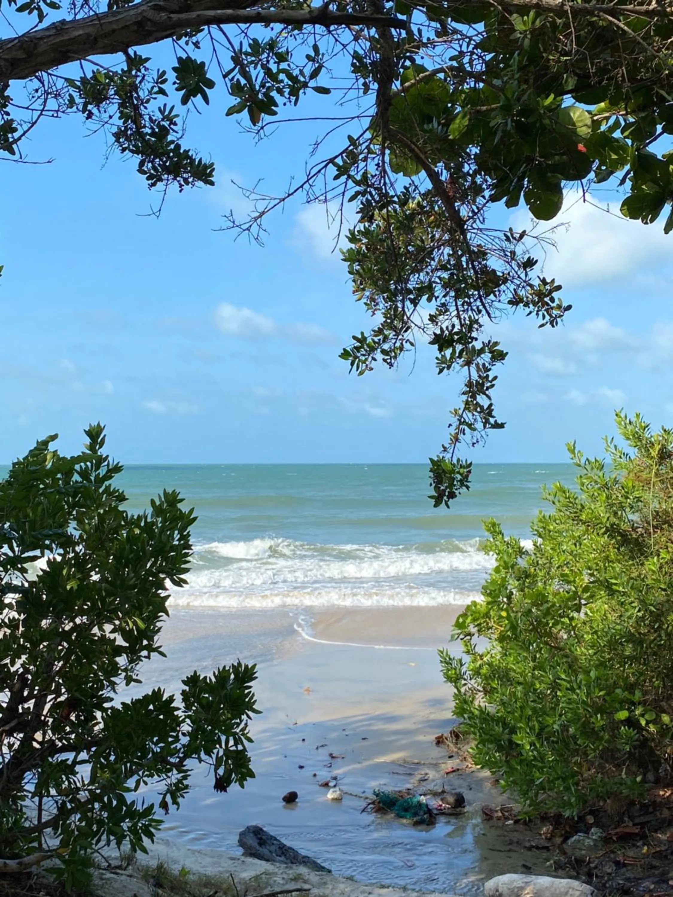 Natural landscape in Dolce Vita Guest House