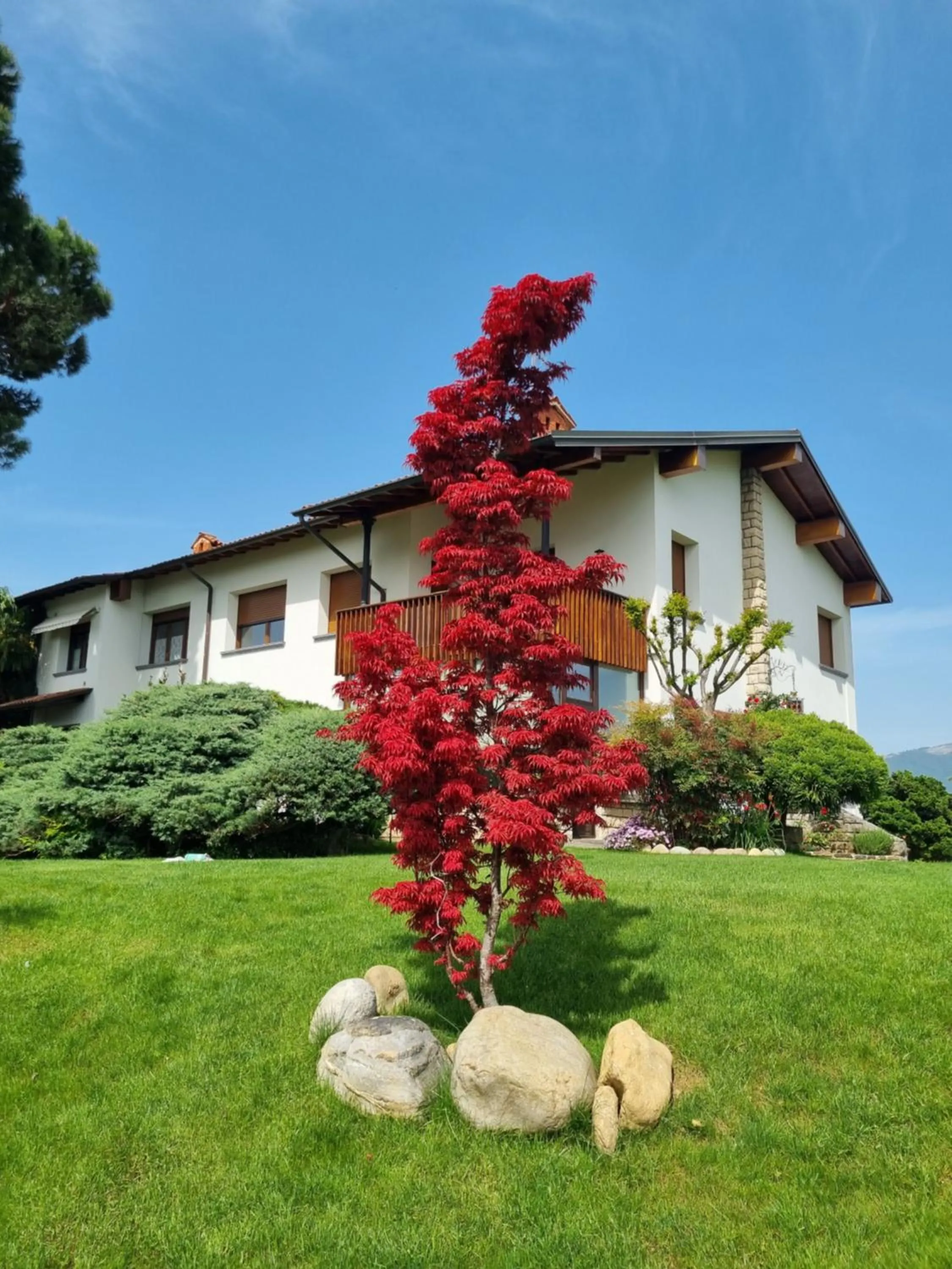 Garden in B&B Fontanella