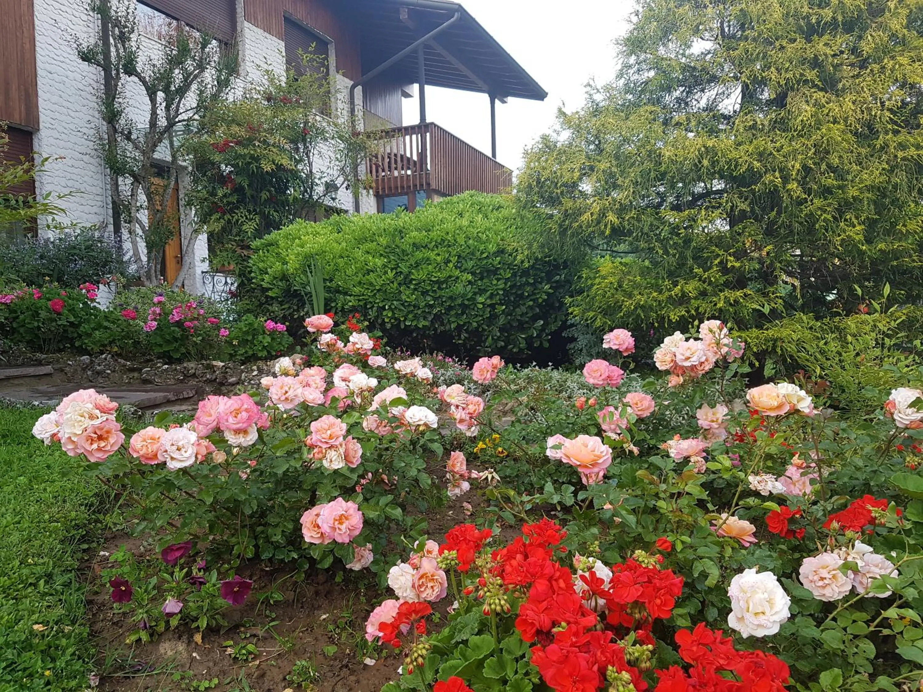 Garden in B&B Fontanella