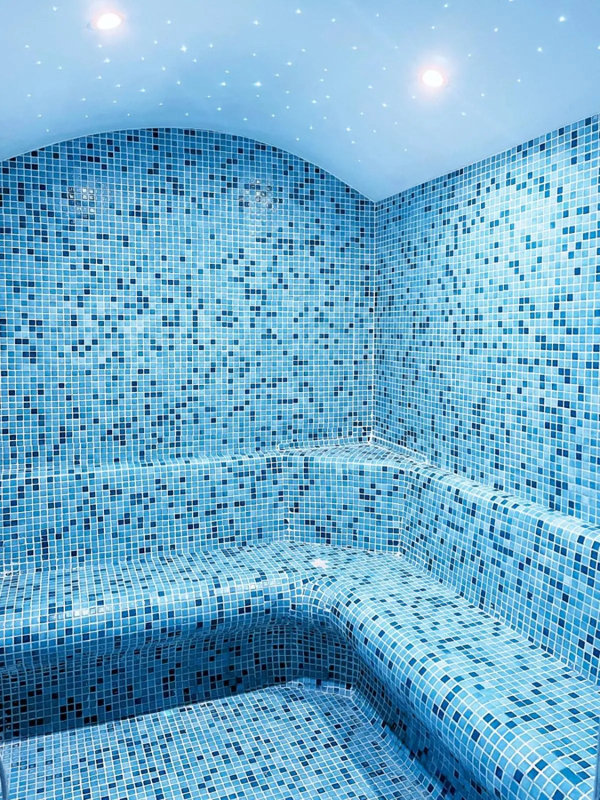 Sauna in The Conforium Hotel Van