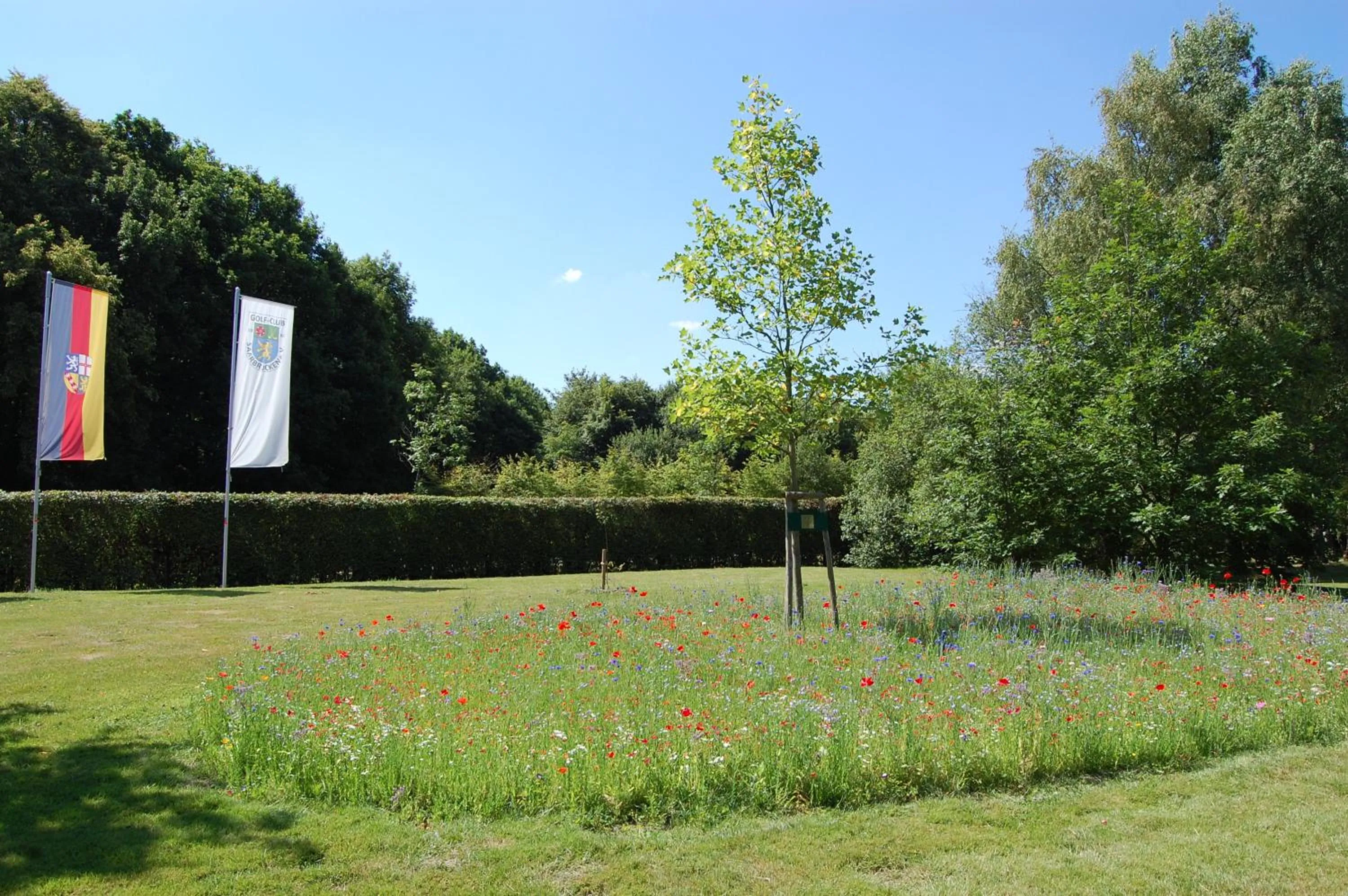 Golfcourse in Hotellerie Waldesruh