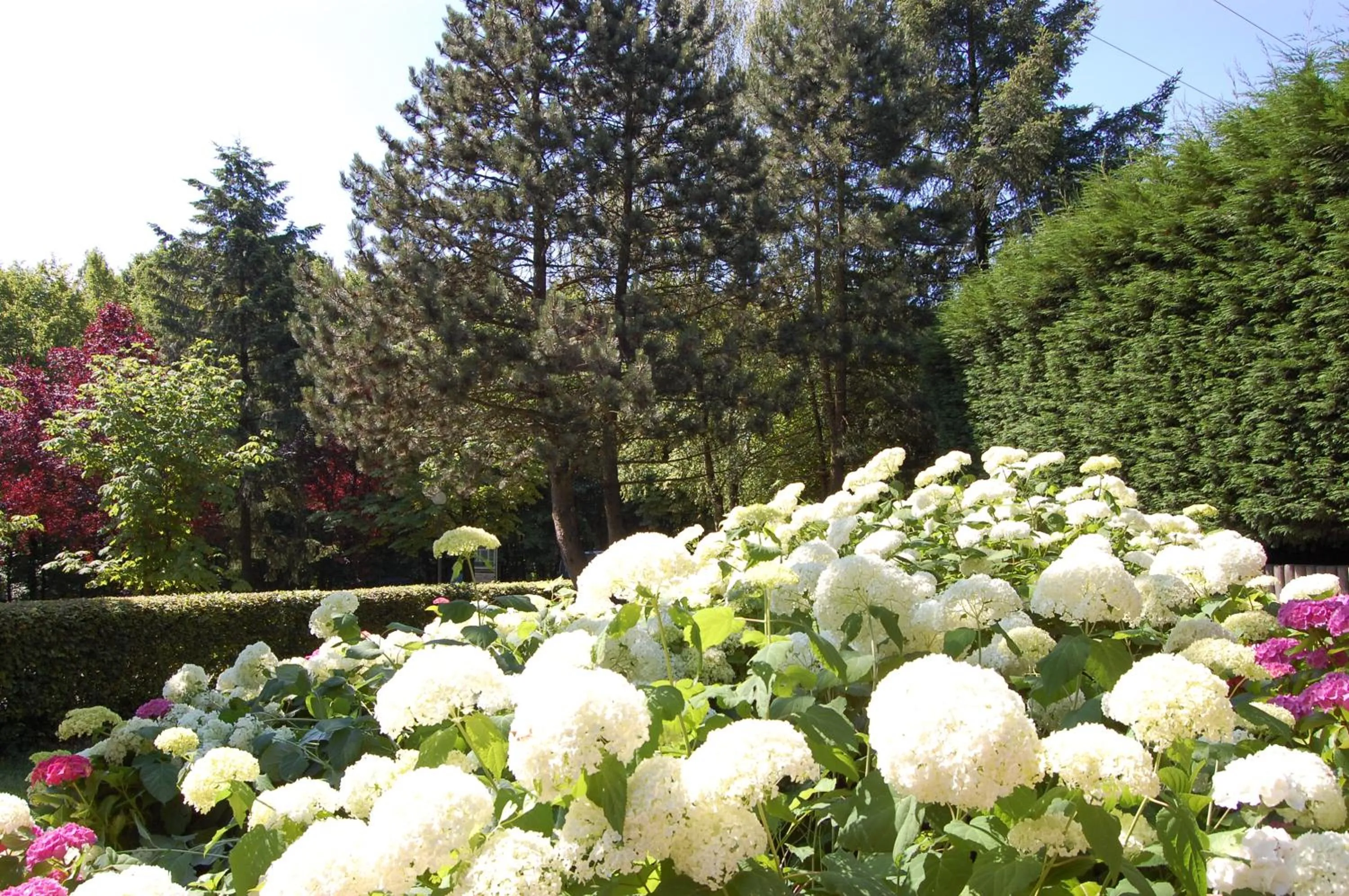 Golfcourse in Hotellerie Waldesruh