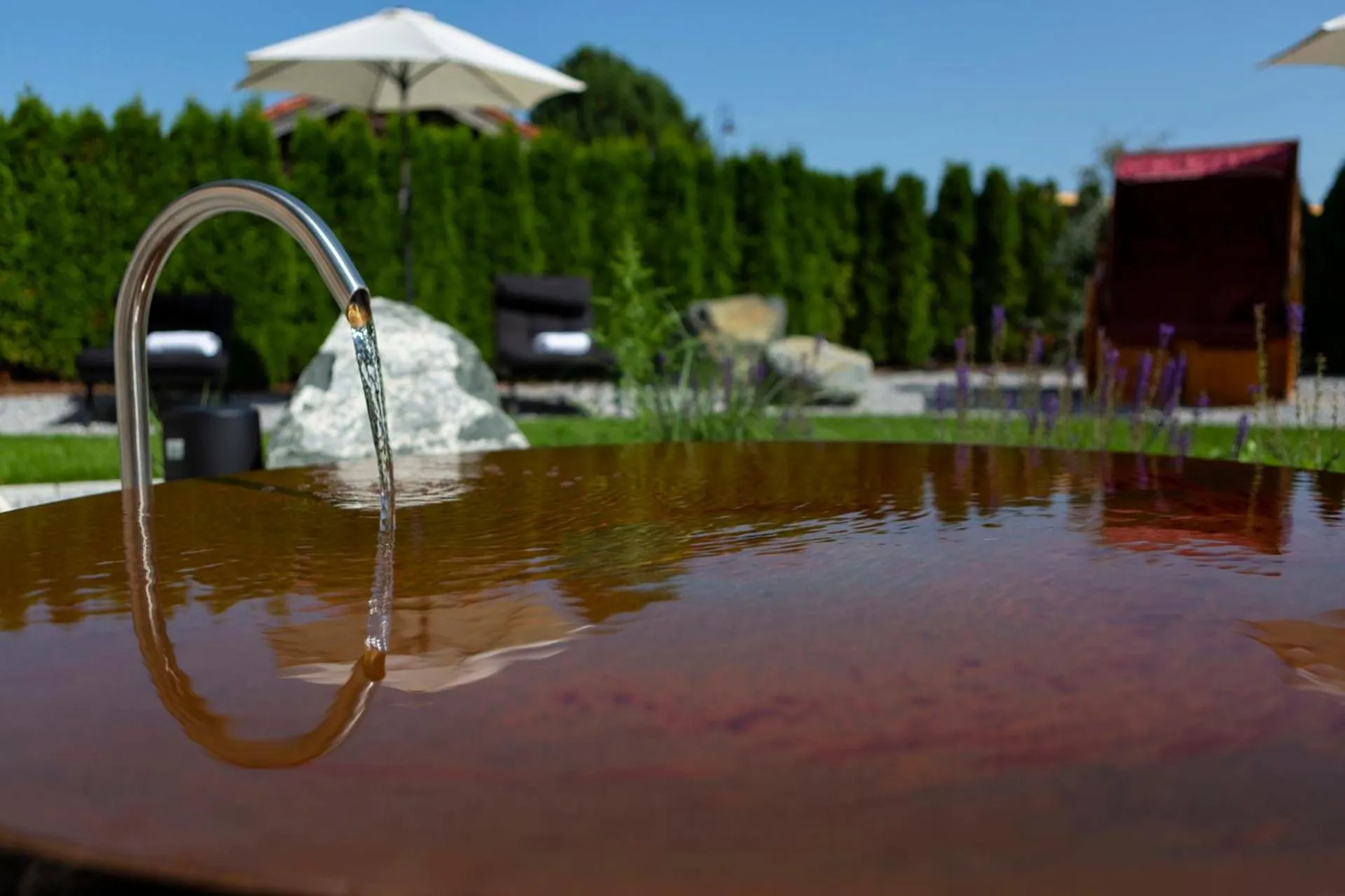 Garden in Hotel Bergidyll