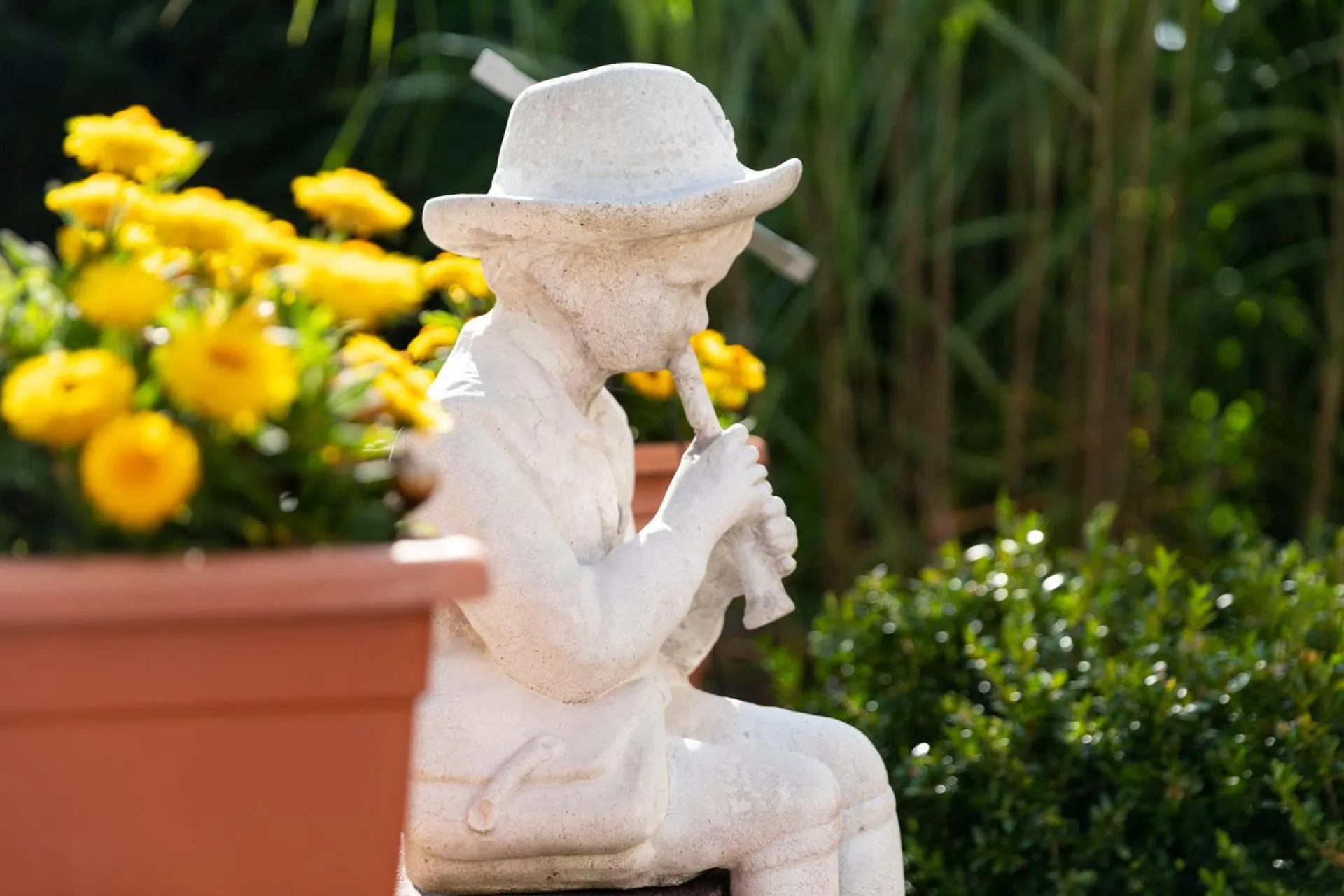 Garden in Hotel Bergidyll