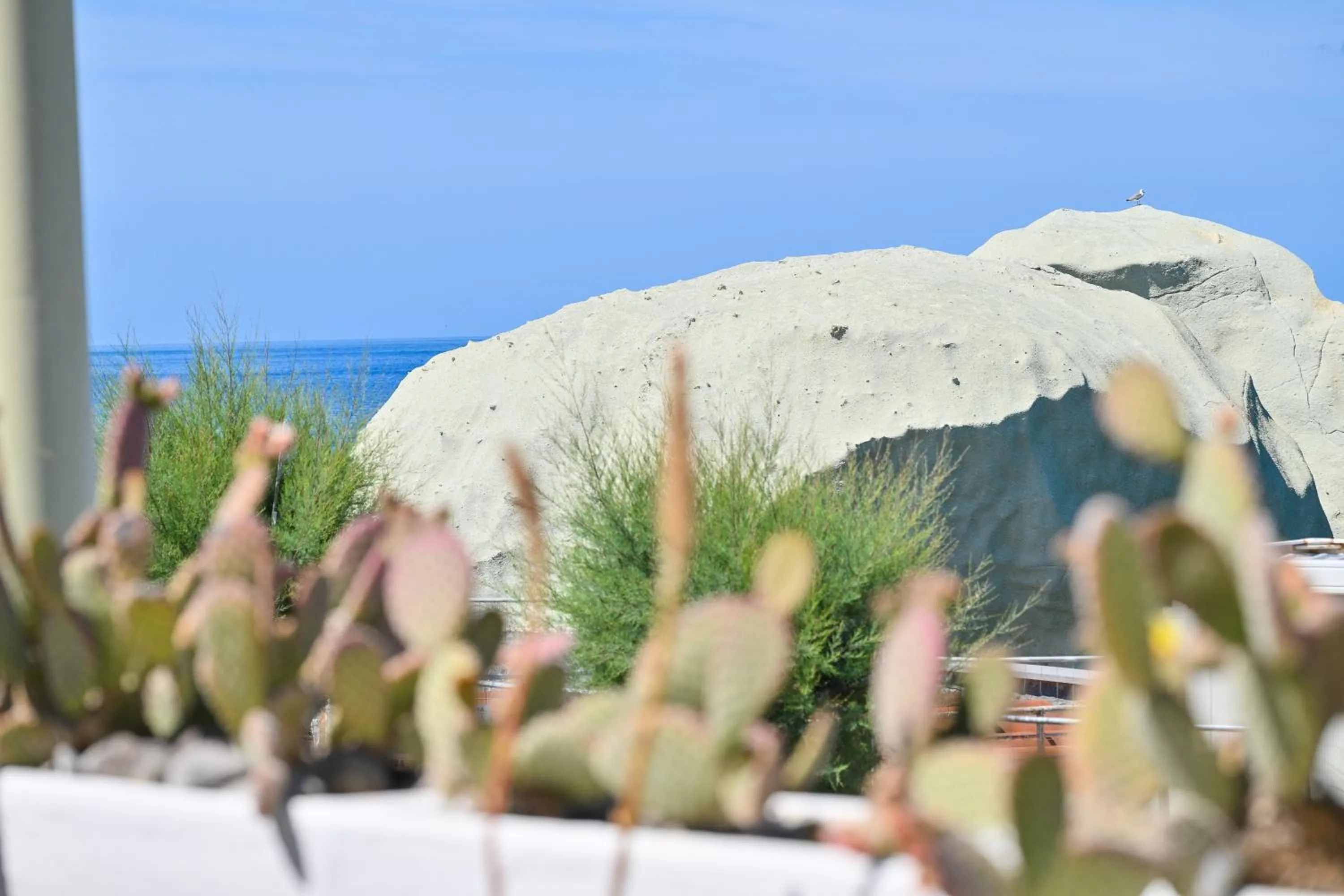 Casa vacanze Nausicaa