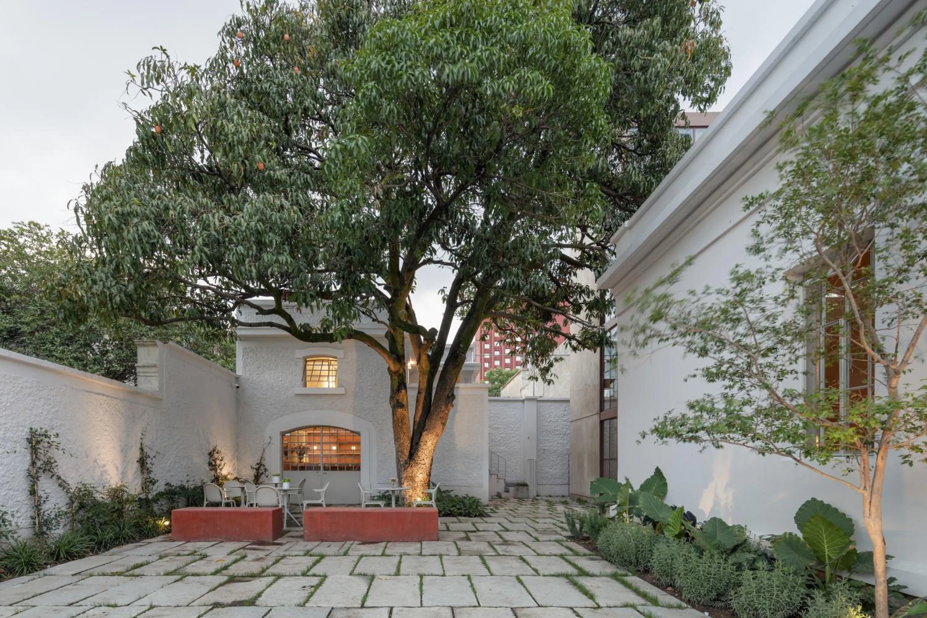 Restaurant/places to eat in Casa Bosque Eduviges