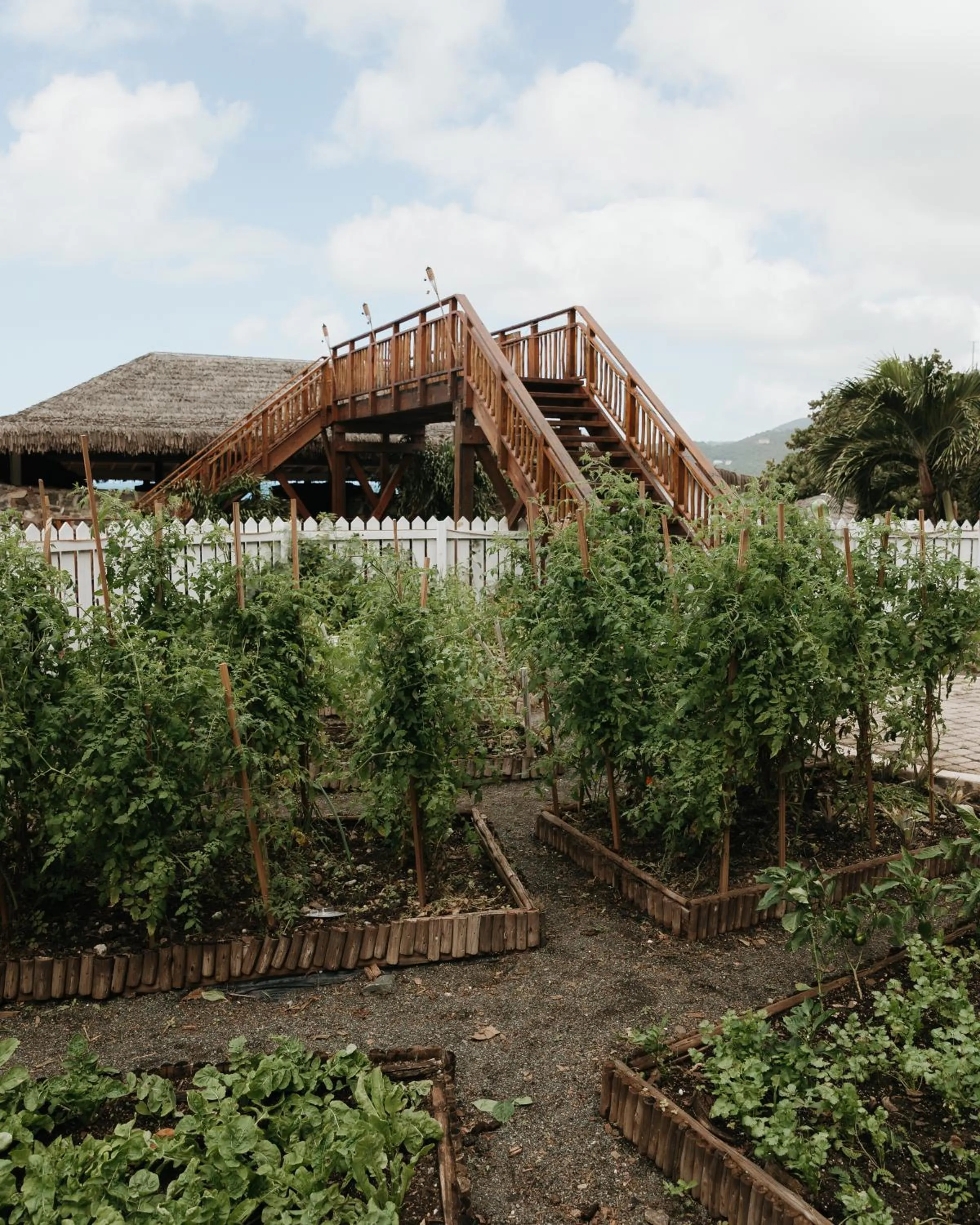 Garden in Long Bay Beach Resort