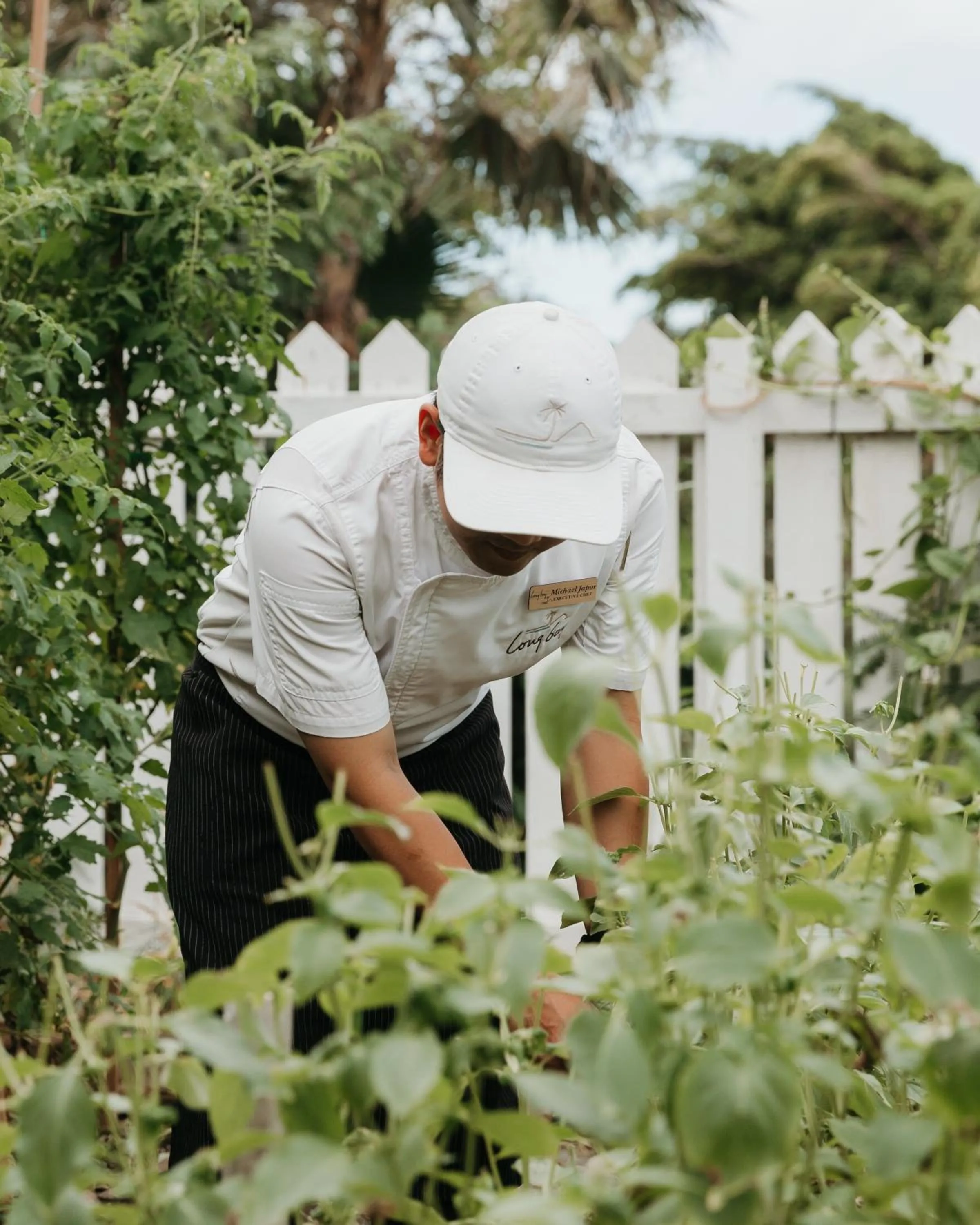 Garden in Long Bay Beach Resort