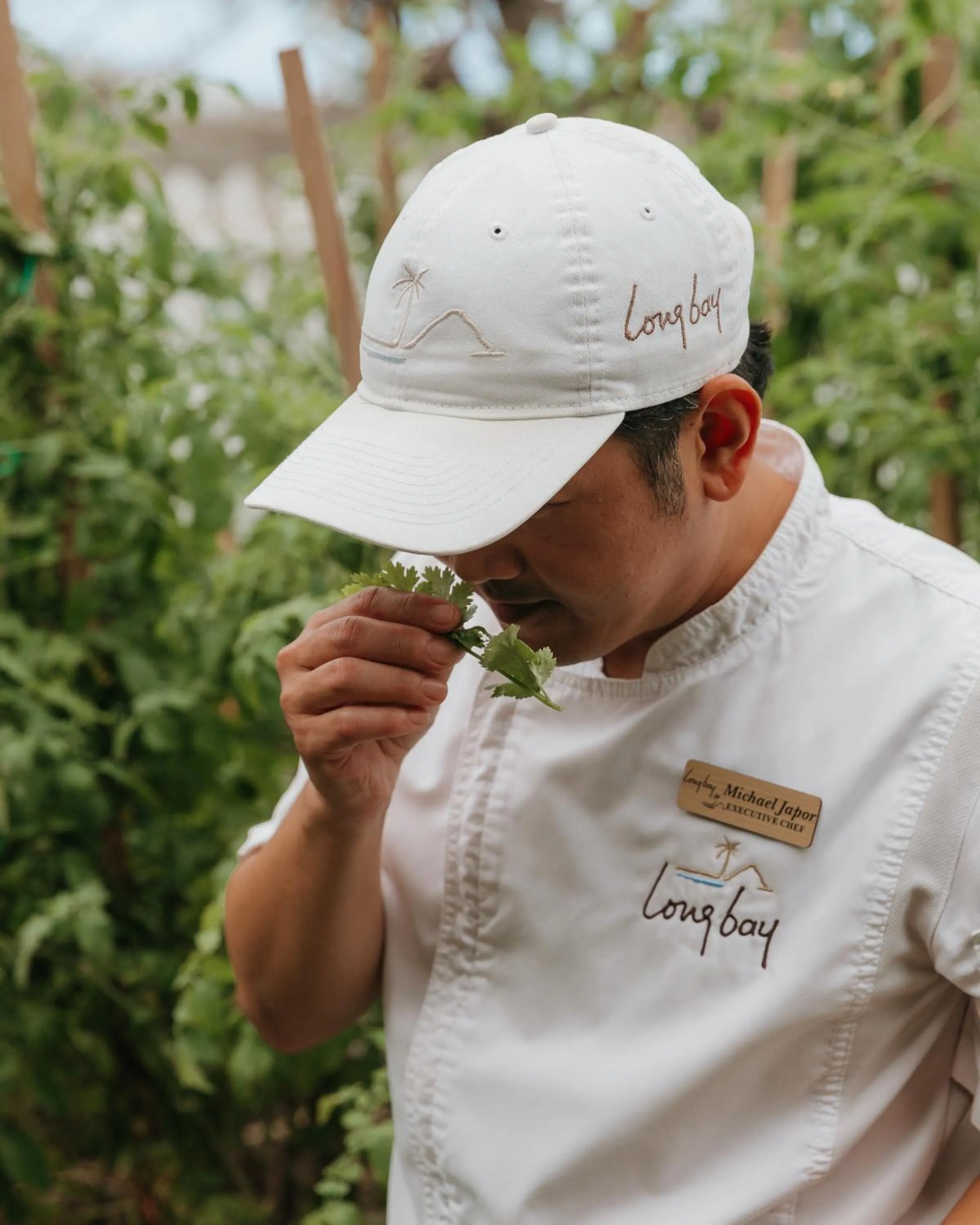 Garden in Long Bay Beach Resort