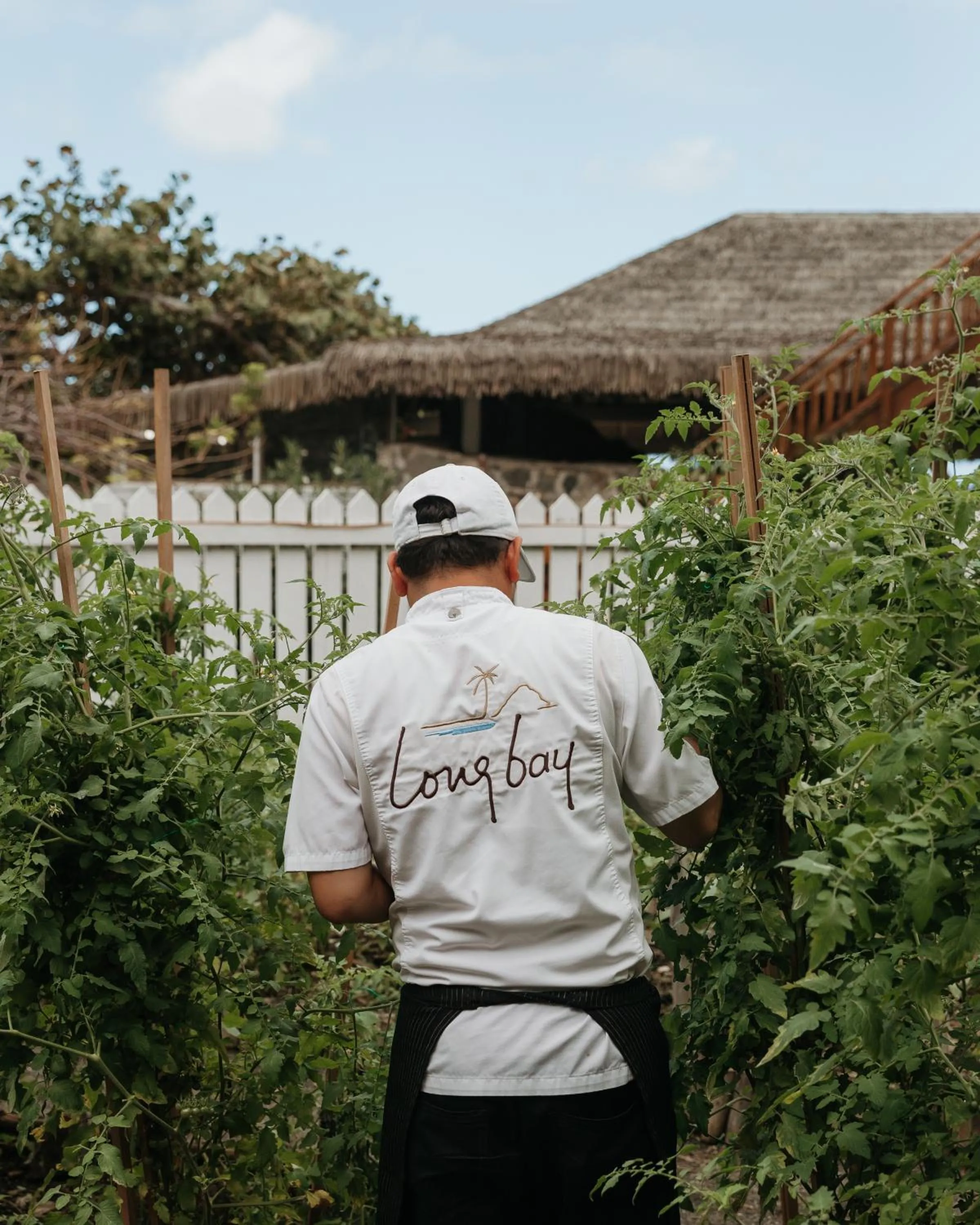 Day in Long Bay Beach Resort