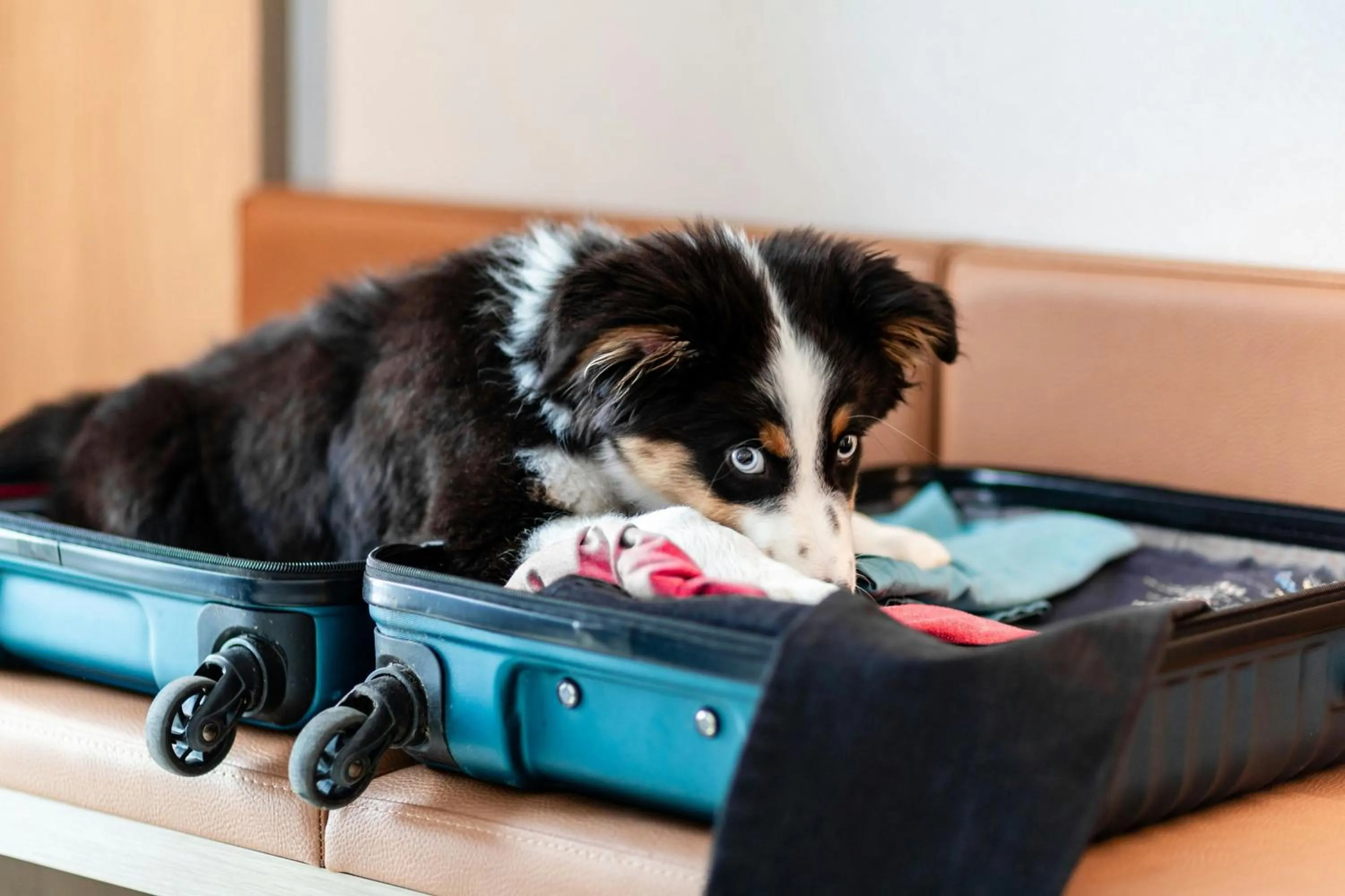 Photo of the whole room in Courtyard by Marriott Berlin City Center