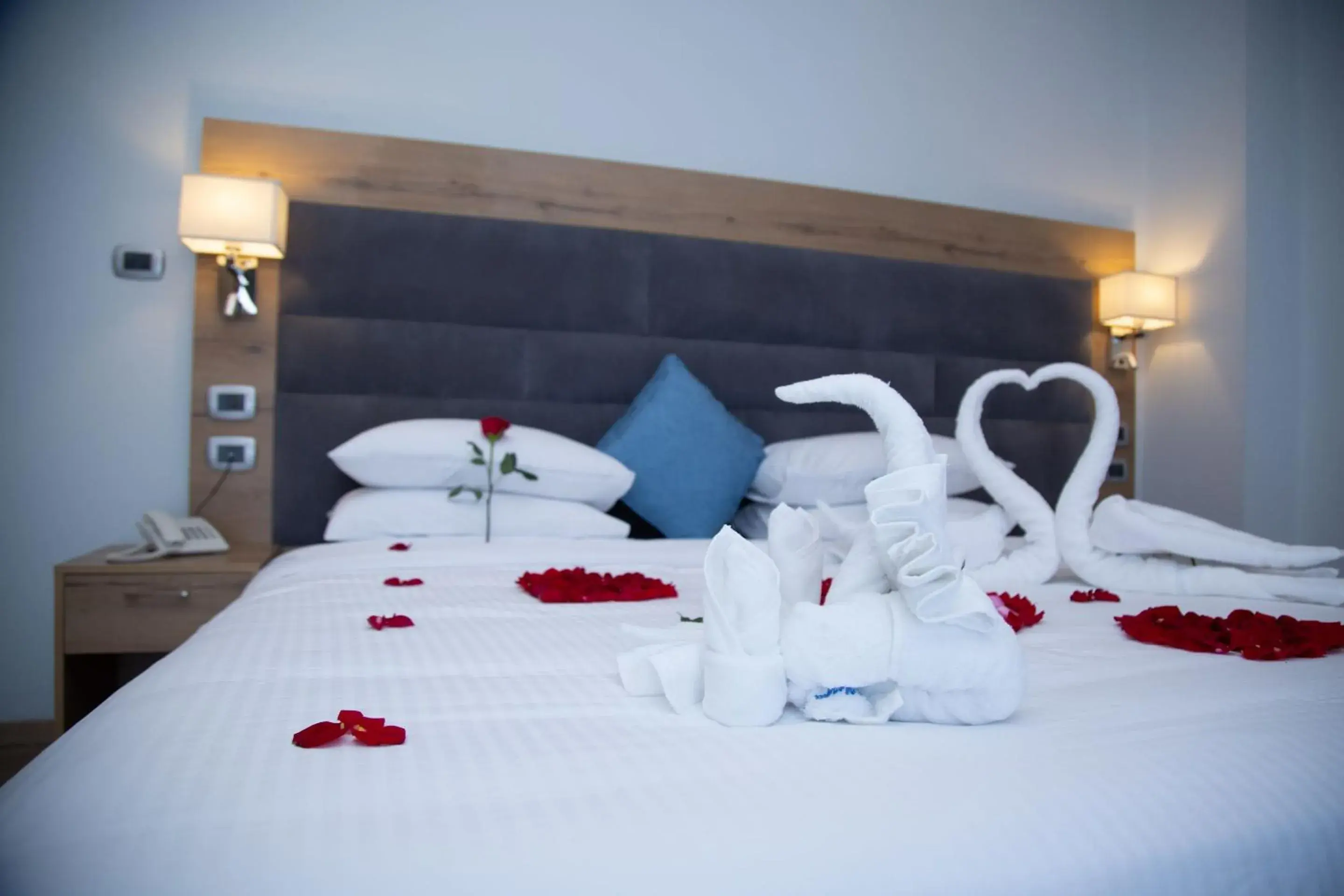 Apartment in Aselefech Merga Hotel and Spa Apartment in Aselefech Merga Hotel and Spa