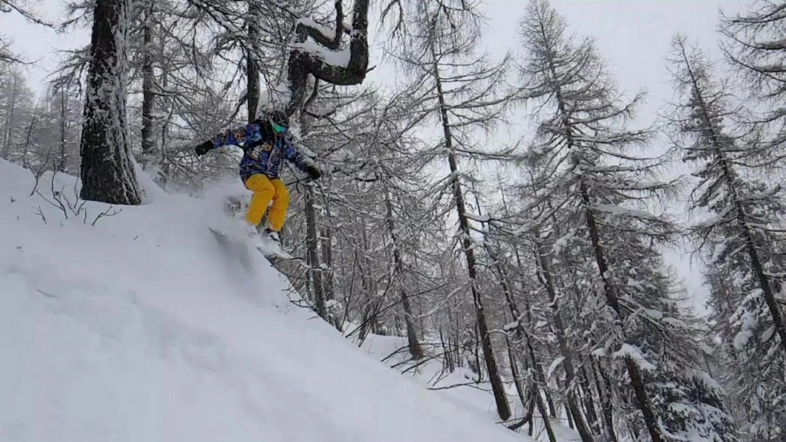 Staff in Haus Susanne