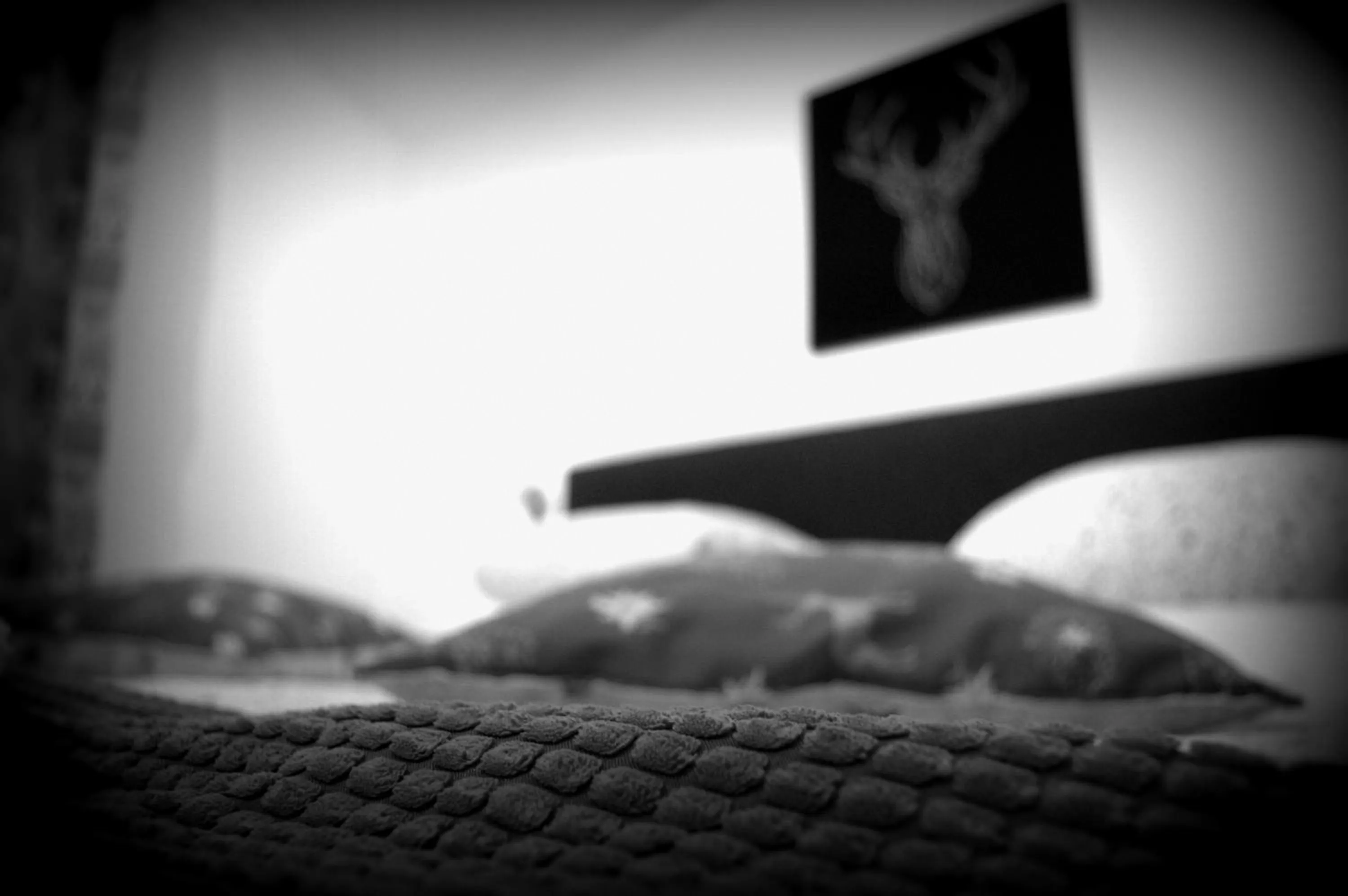 Decorative detail, Bed in Haus Susanne