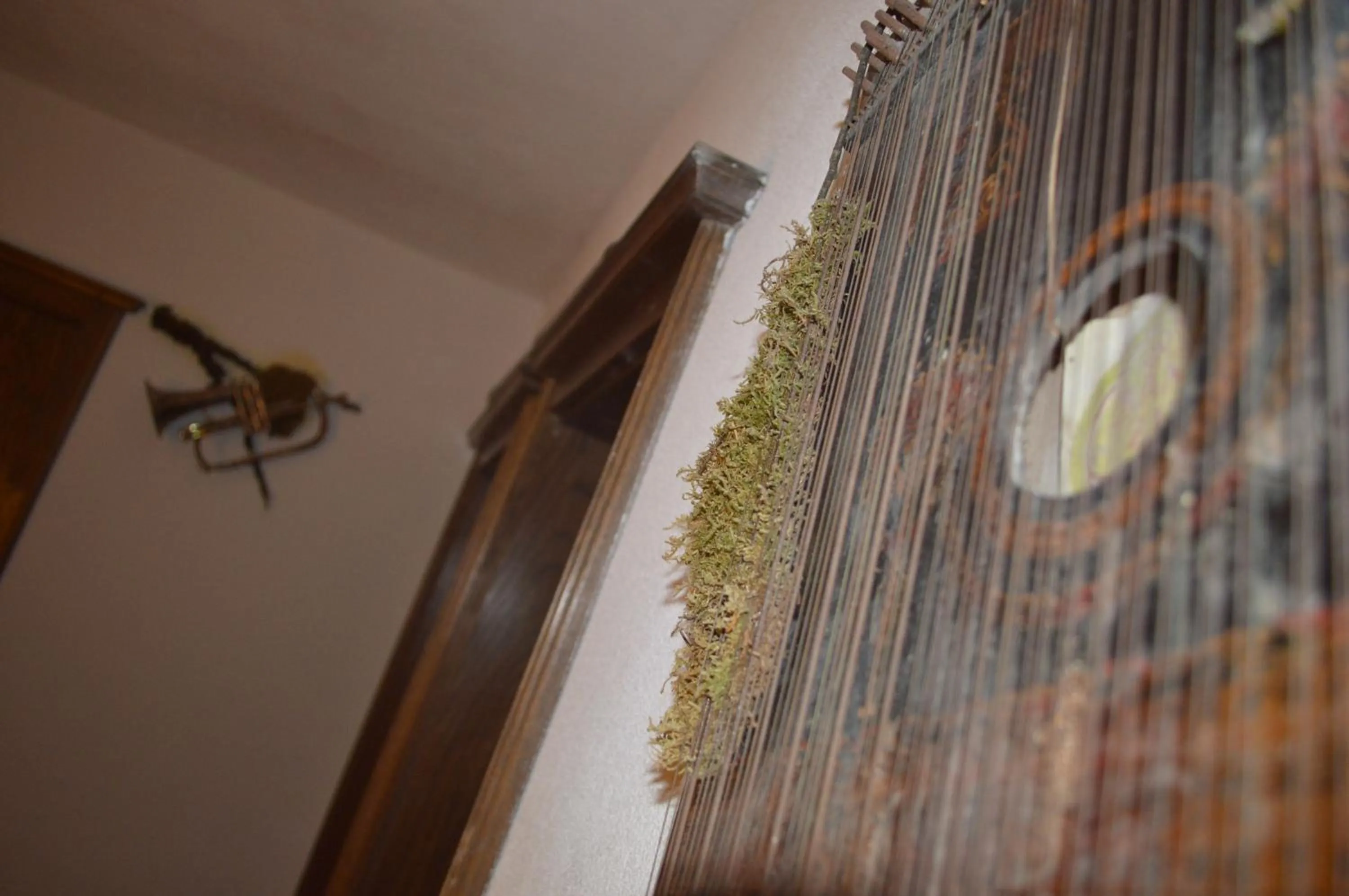 Lobby or reception in Haus Susanne