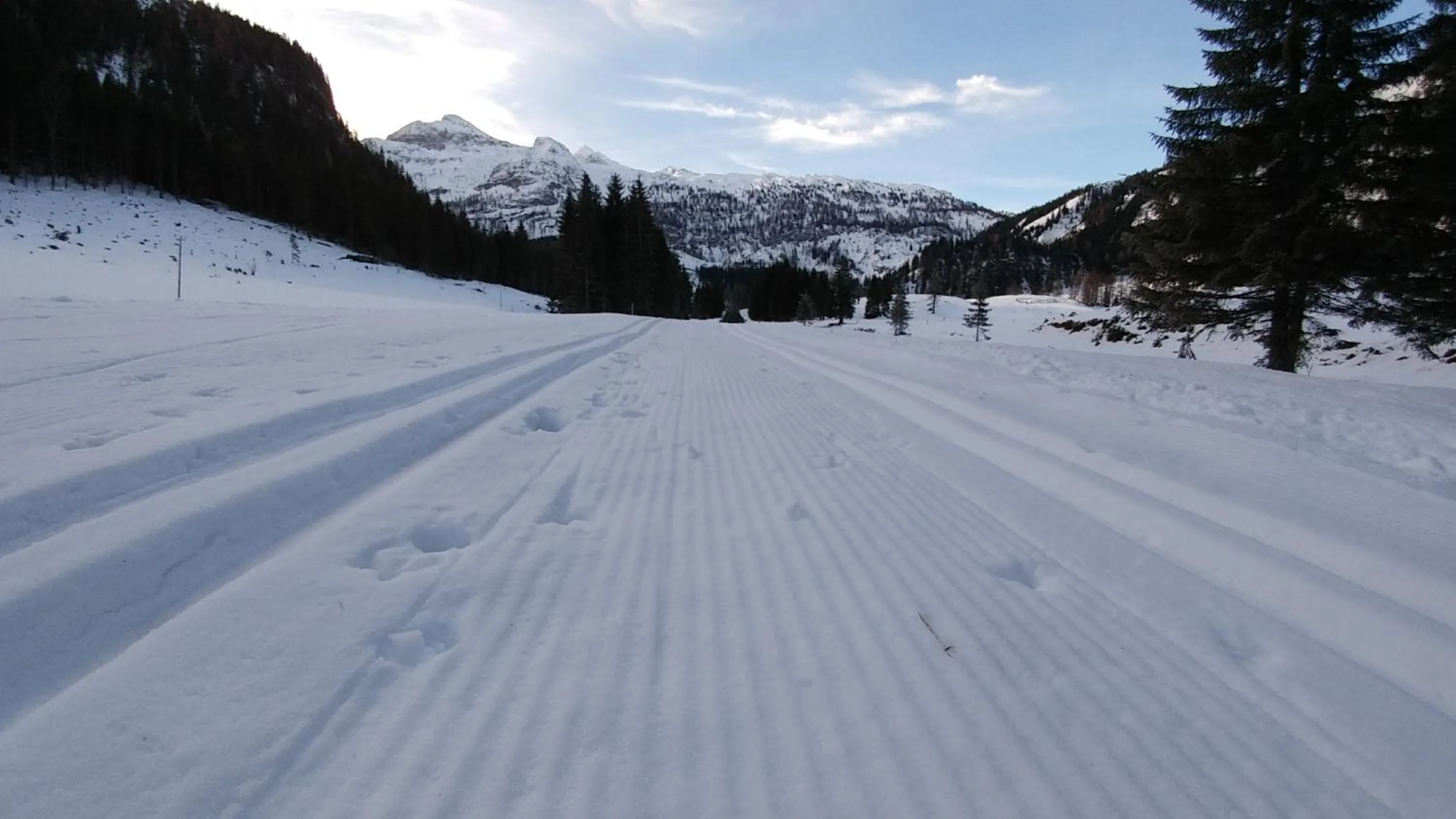 Activities in Haus Susanne