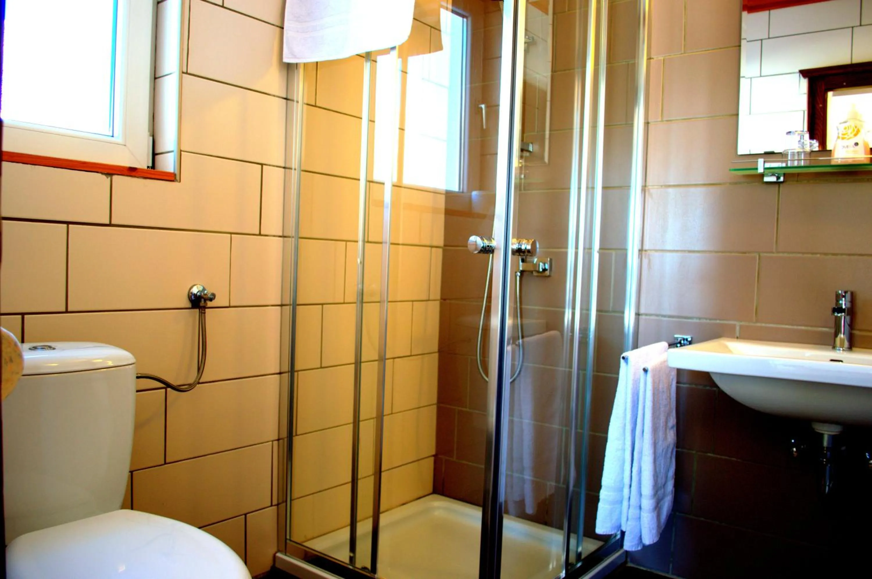 Shower in Haus Susanne