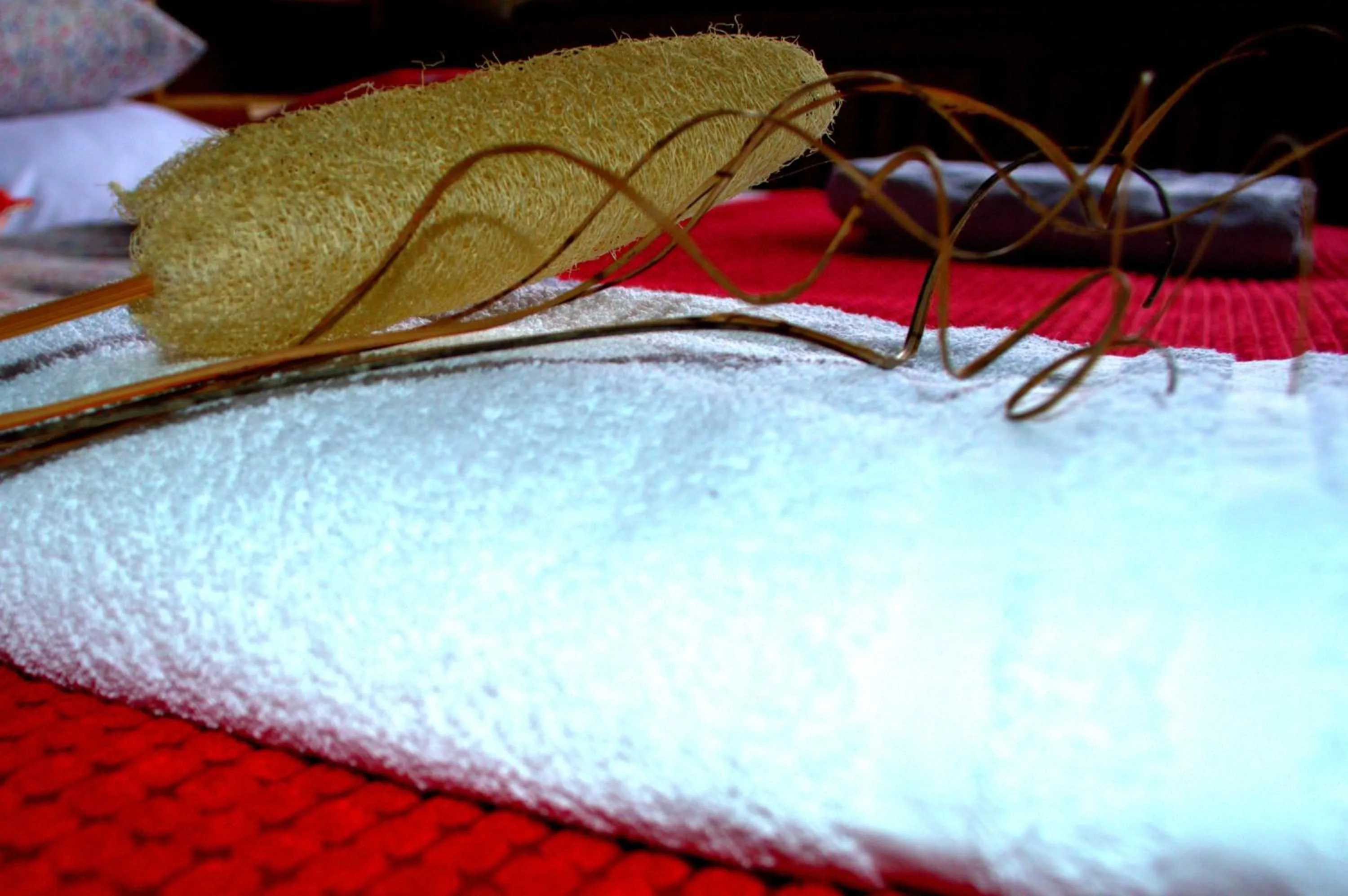 Other in Haus Susanne