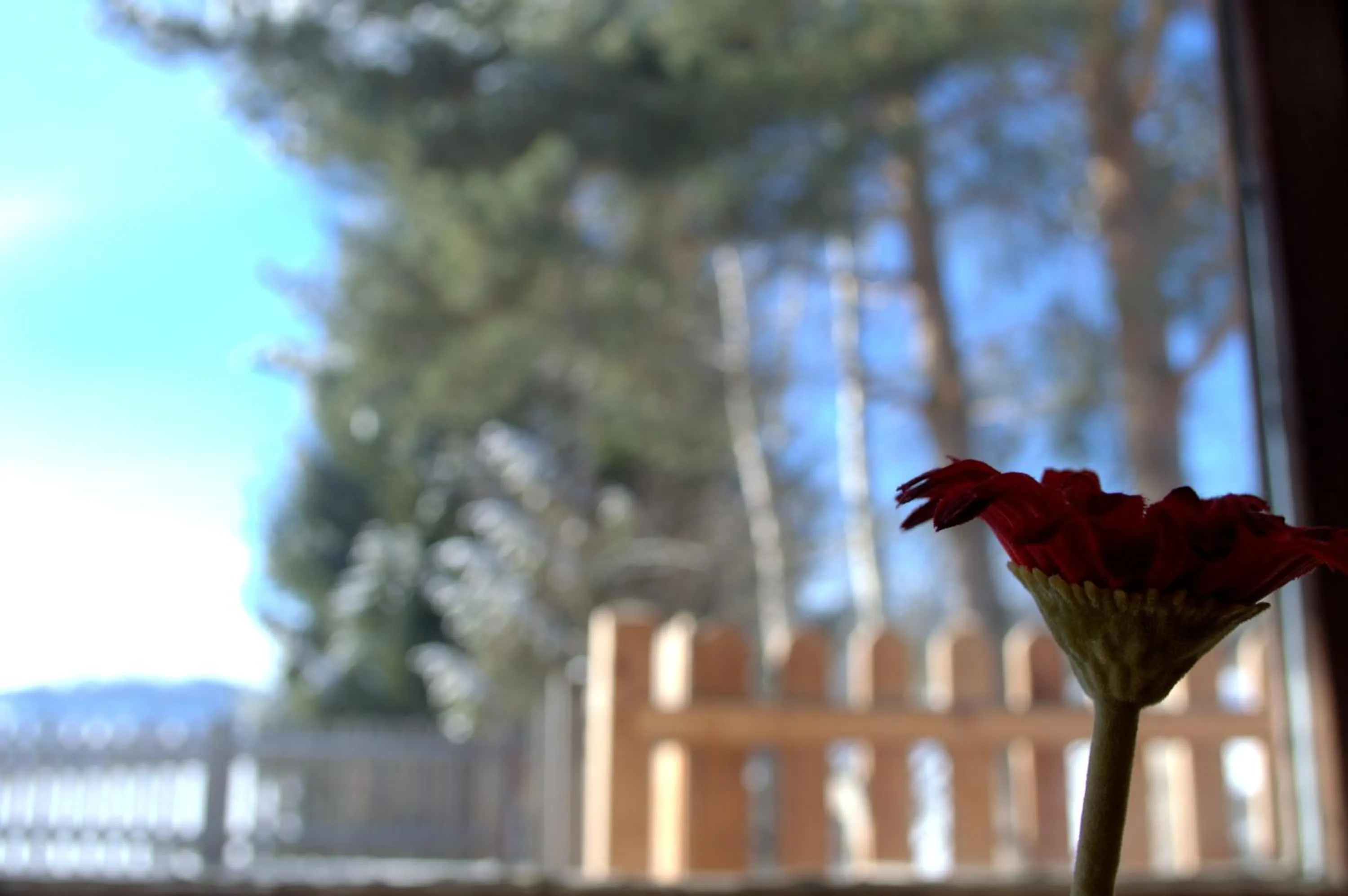 View (from property/room) in Haus Susanne