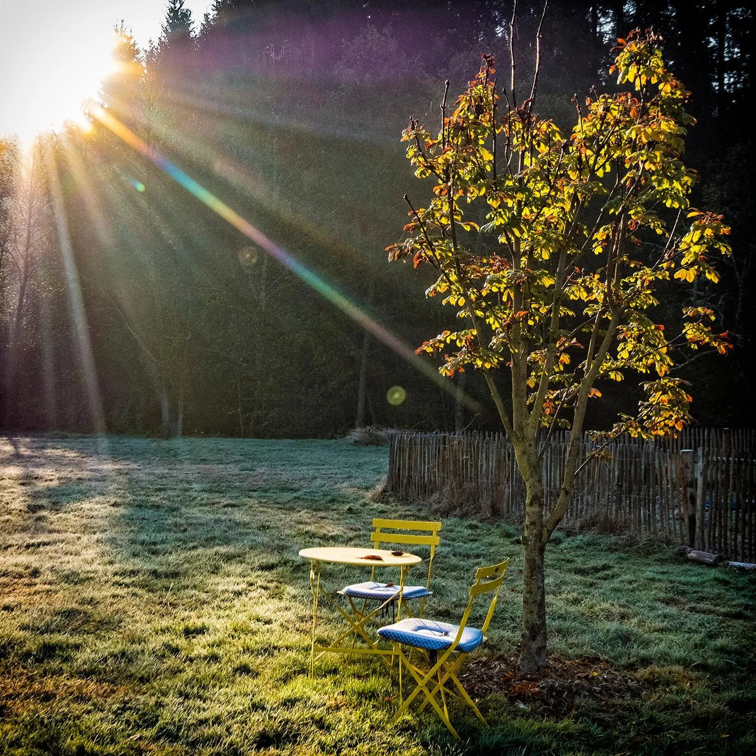 Garden in Moulin des Comtes - Chambre les Rochers