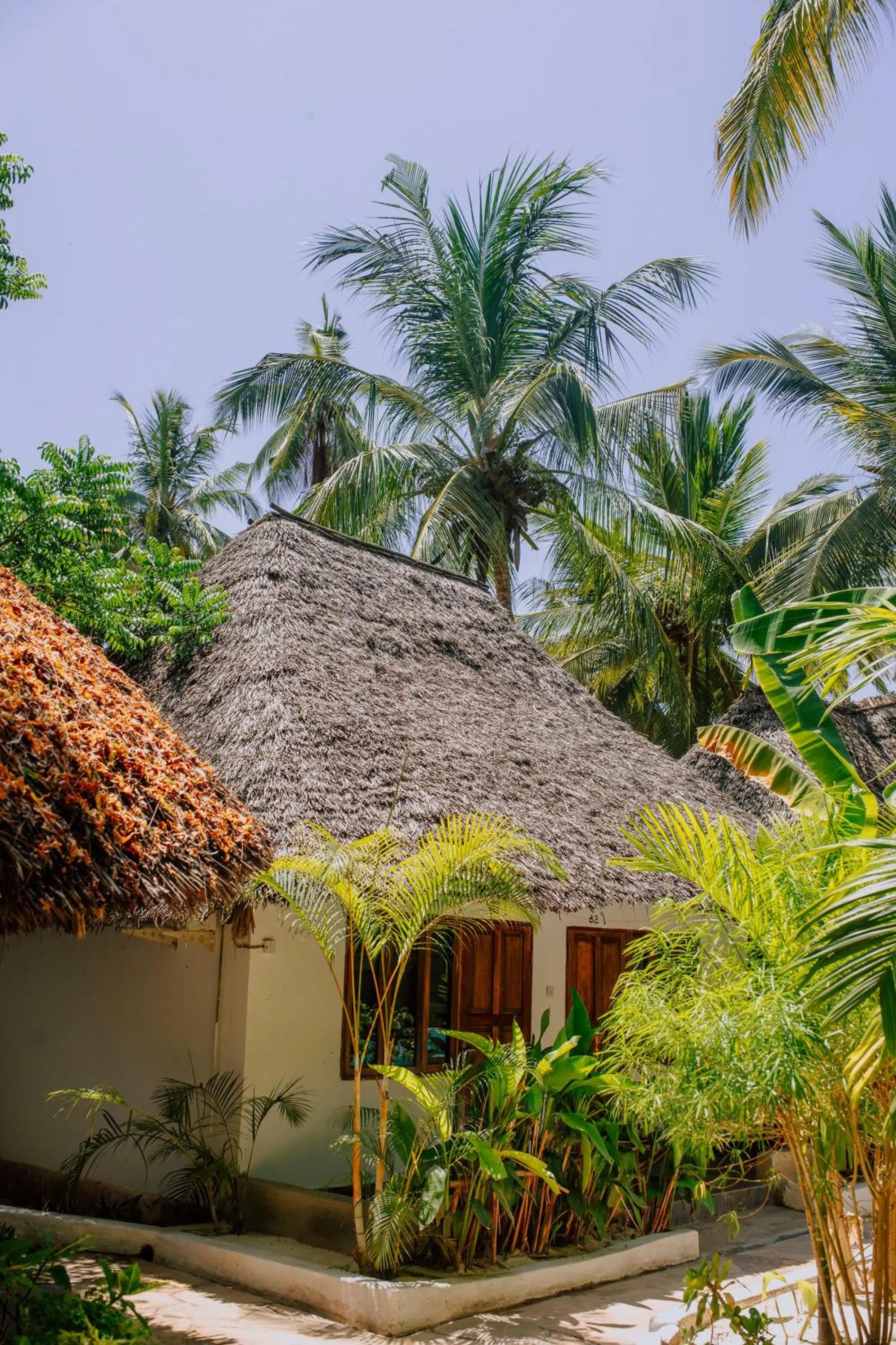 Garden in Sky & Sand Zanzibar