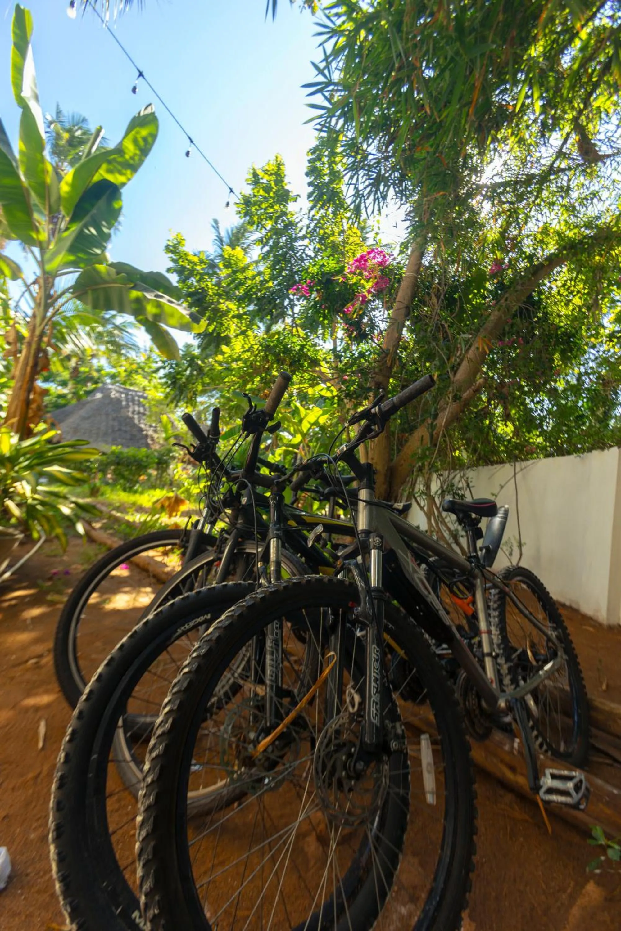 Cycling in Sky & Sand Zanzibar