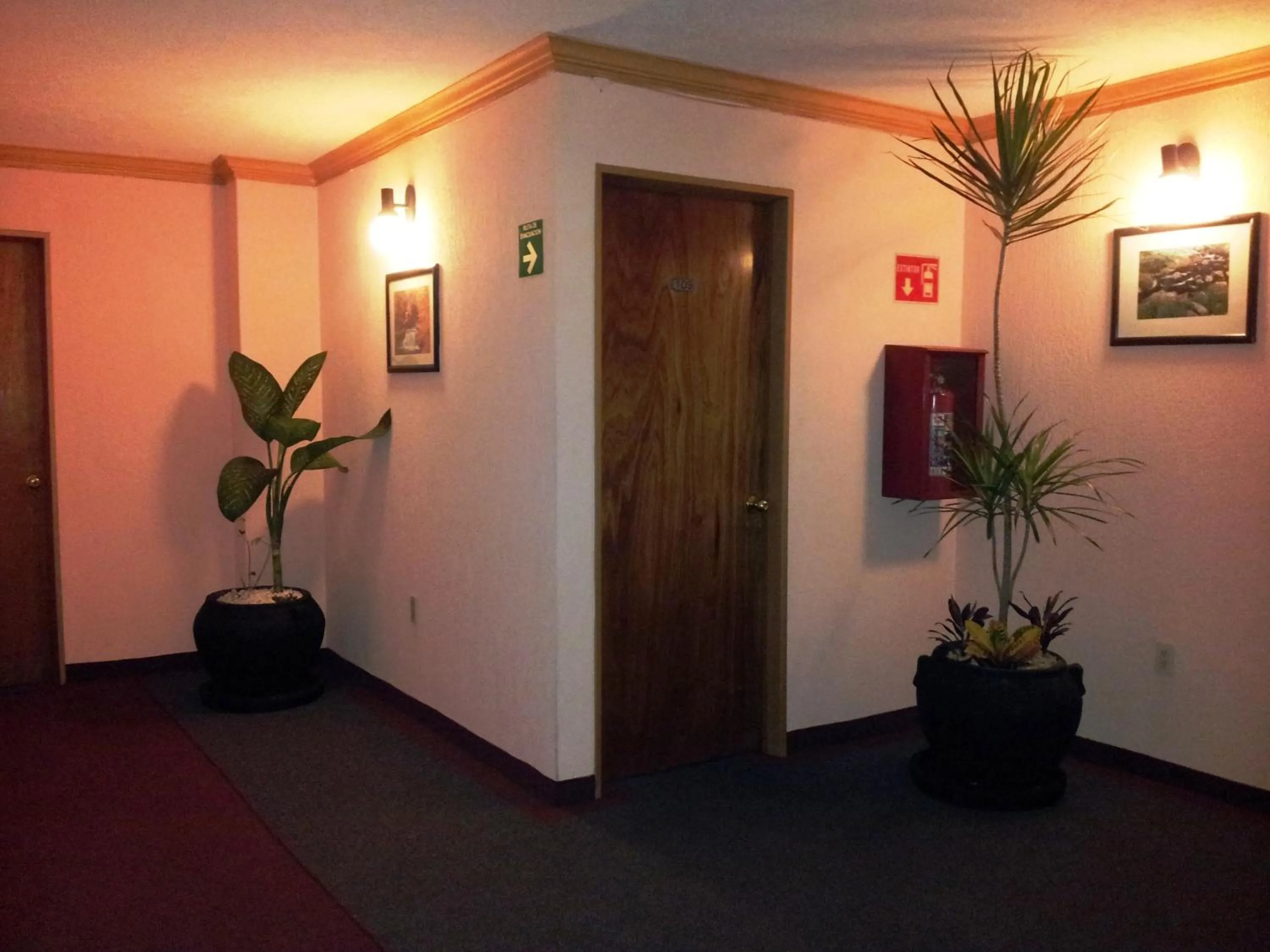 Facade/entrance in Hotel Siesta del Sur