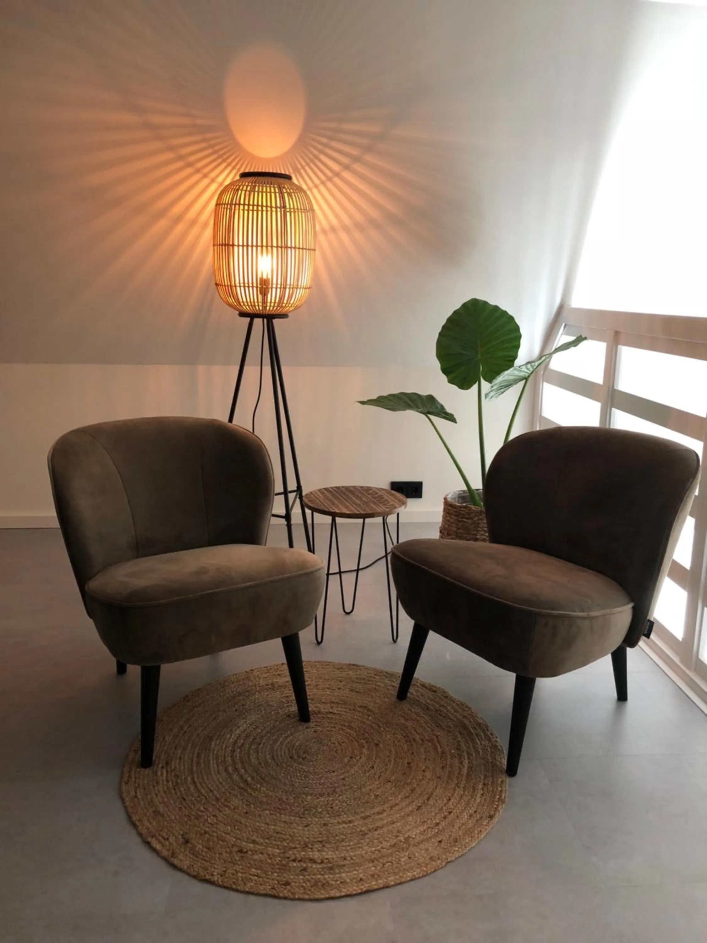 B&B Onderderietenkap