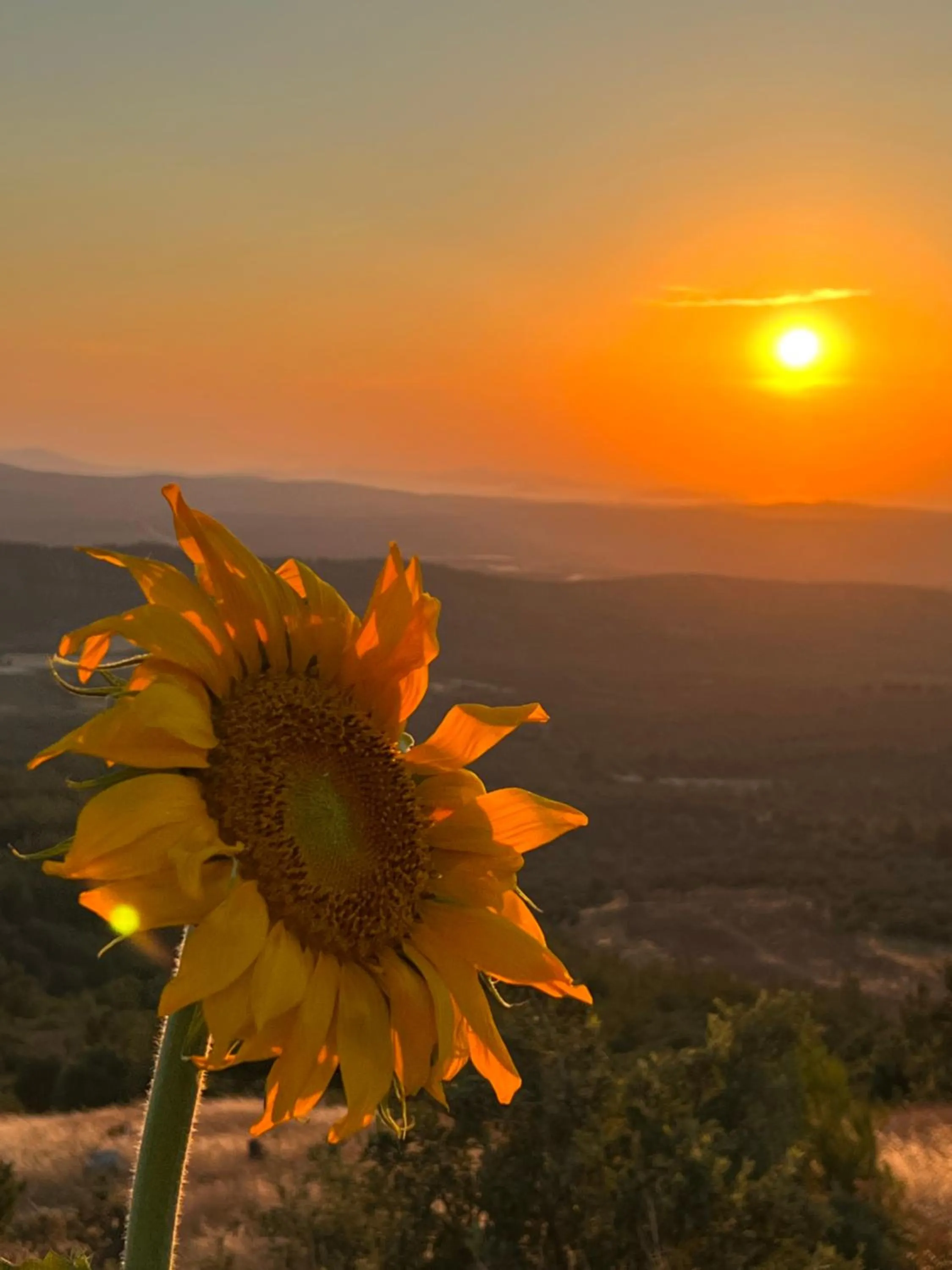 Sunset in Marlo Ayvalık 12 Plus Adult Only