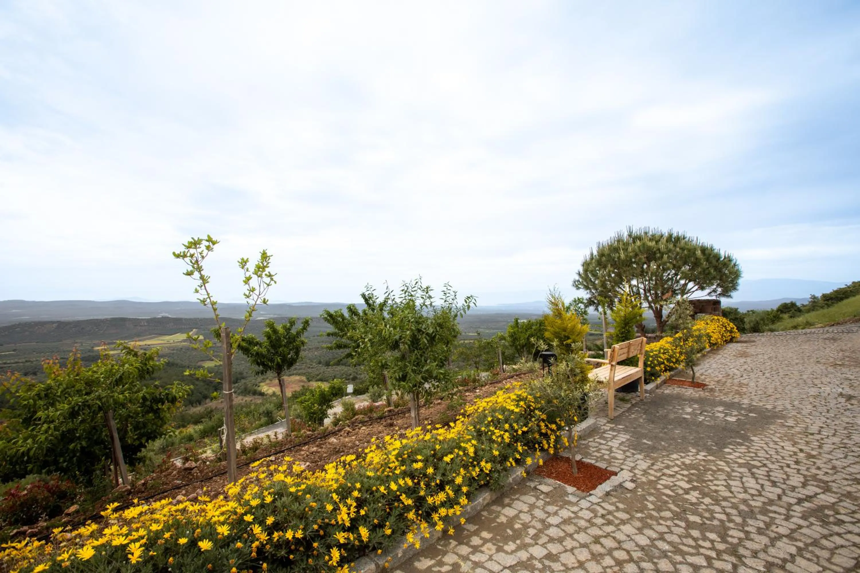 View (from property/room) in Marlo Ayvalık 12 Plus Adult Only