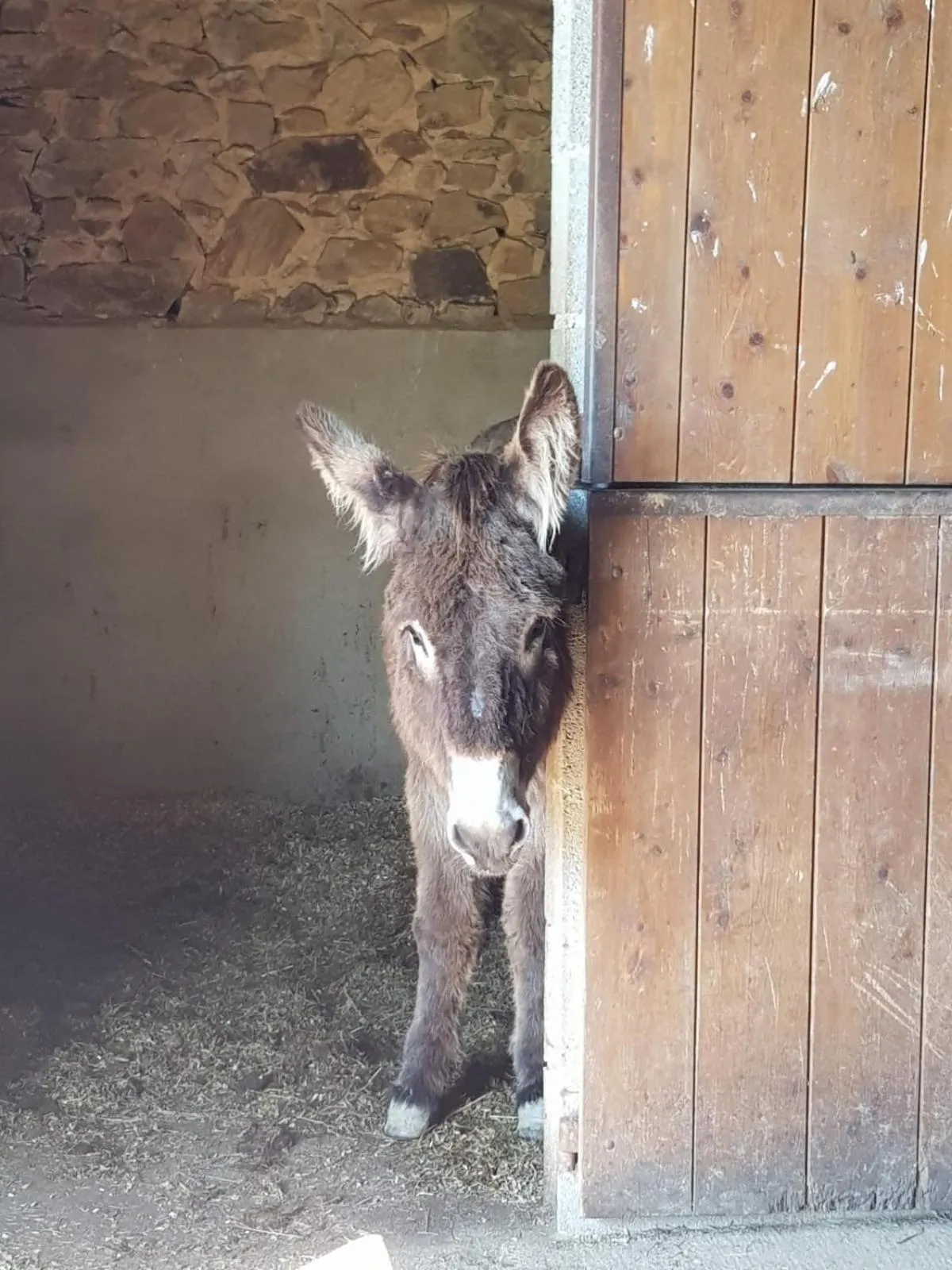 La Ferme de Sapharey