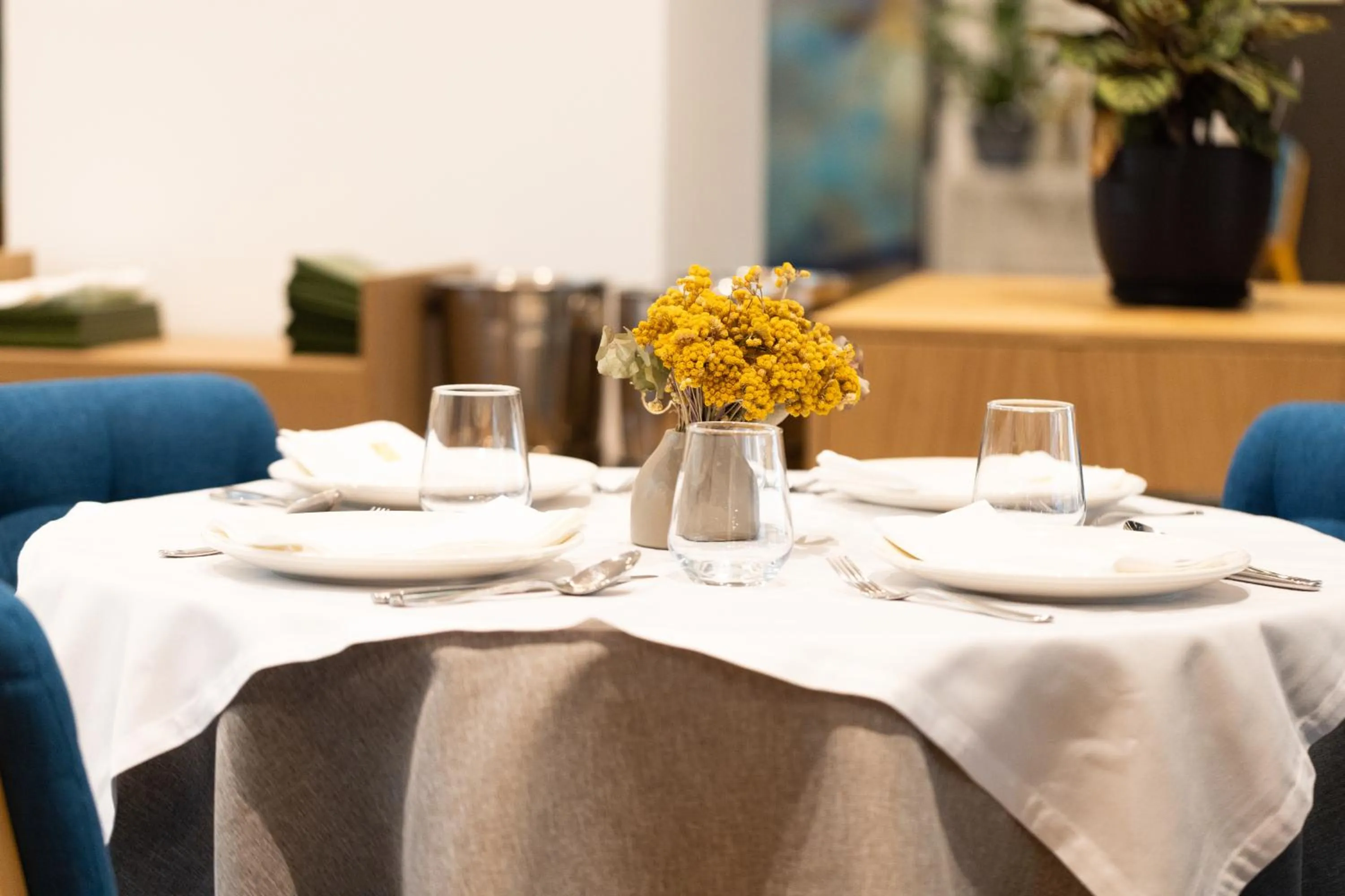 Restaurant/places to eat in Habitat Hotel Tirana