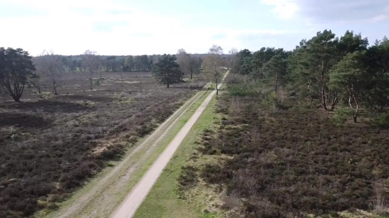 Natural landscape in B&B Speulderveld