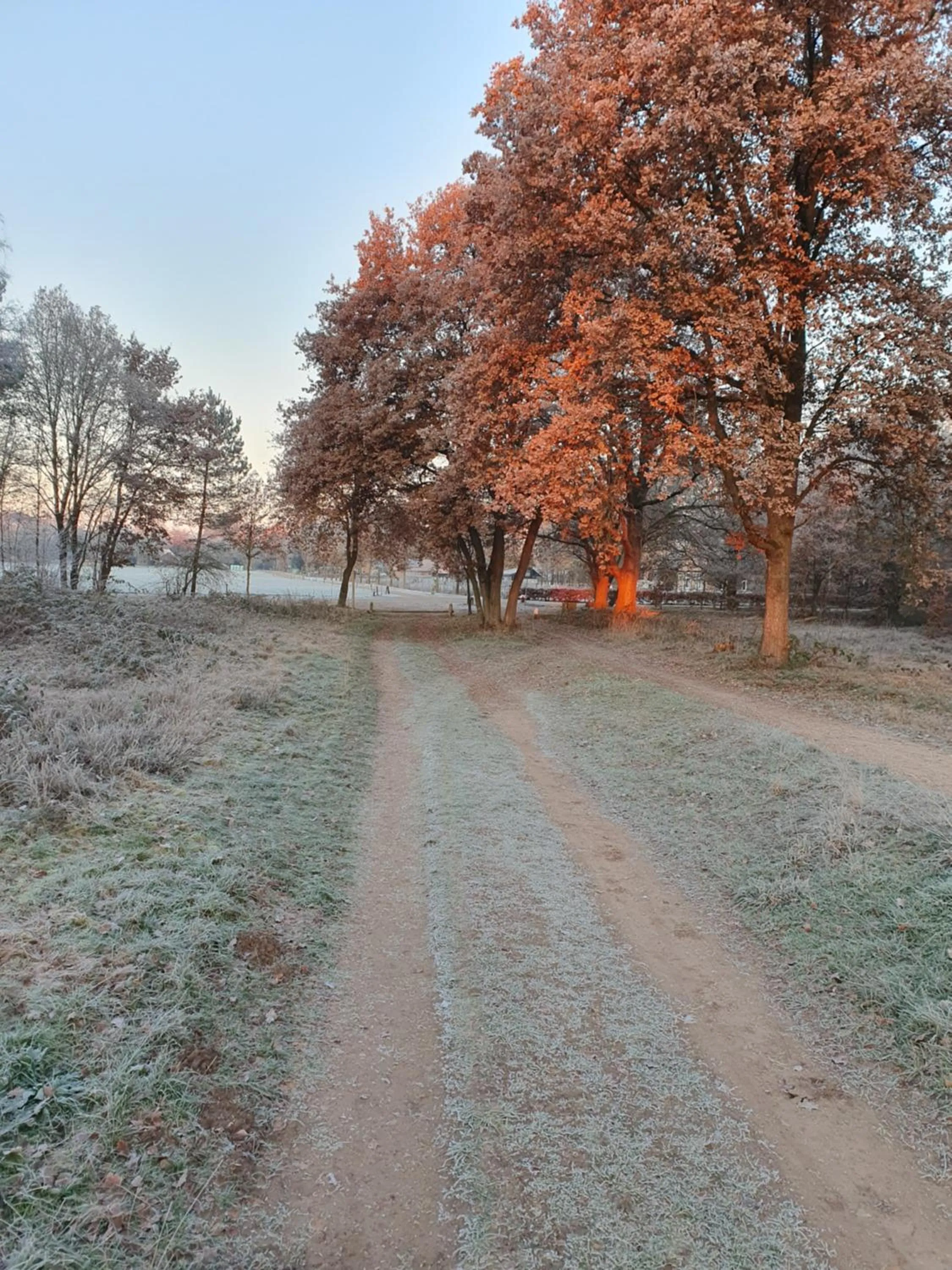 Natural landscape in B&B Speulderveld