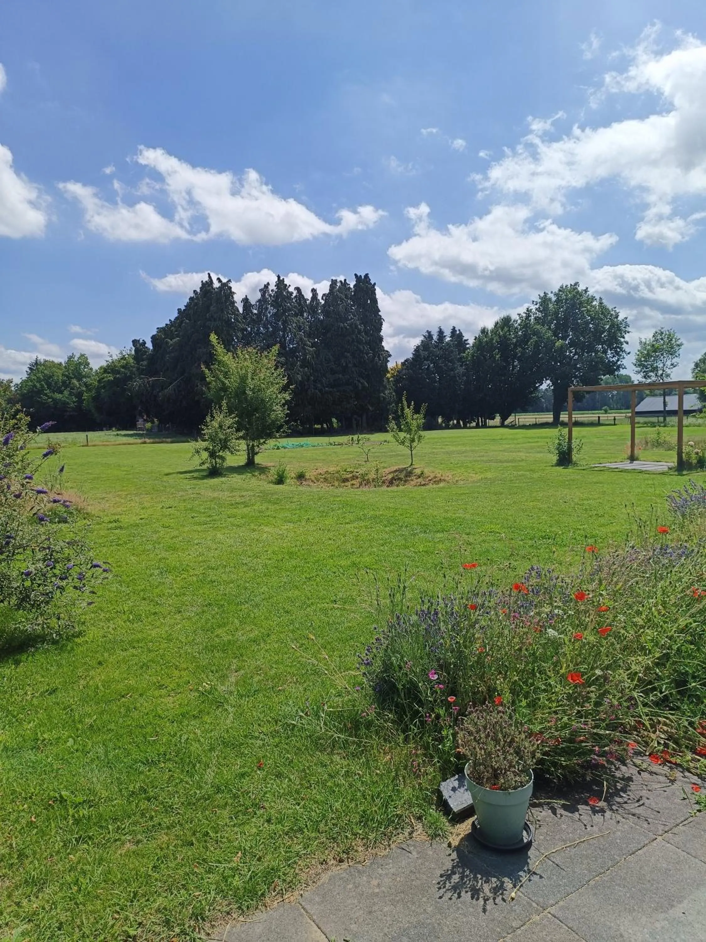 Garden view in B&B Speulderveld