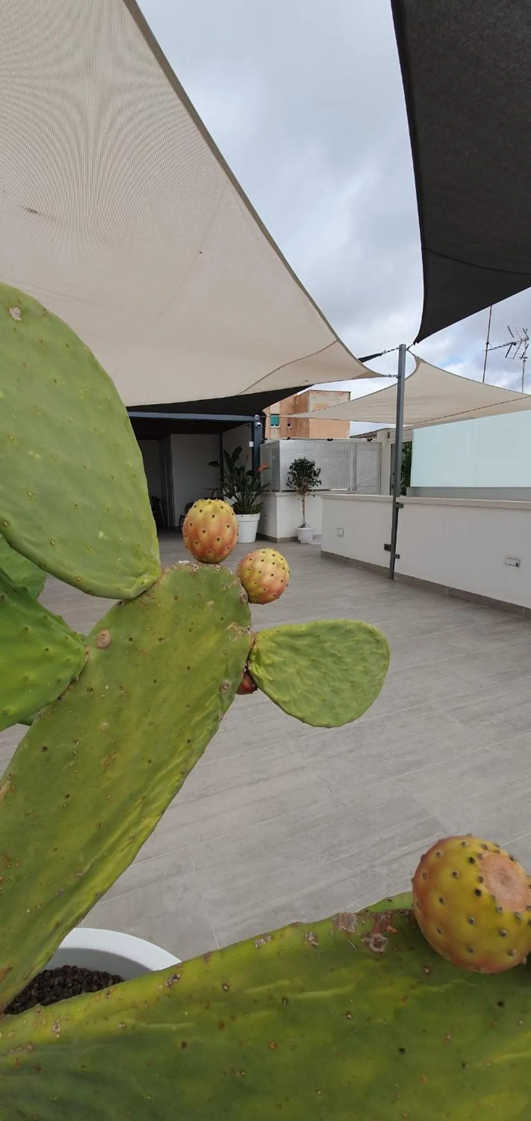Balcony/Terrace in MY HOUSE LUXURY HOME