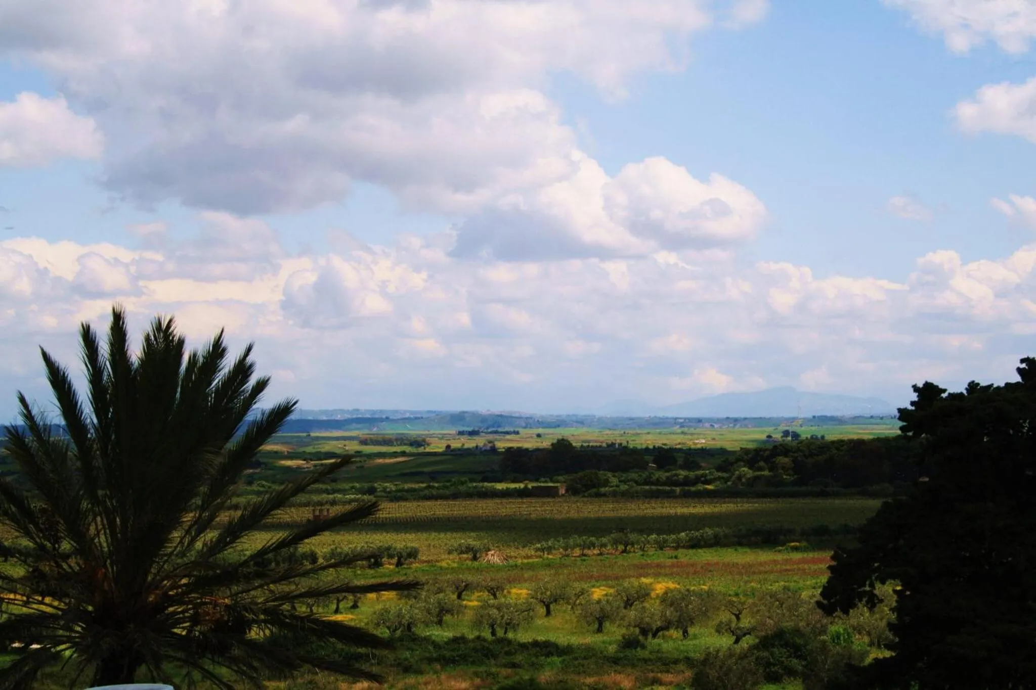 Balcony/Terrace in Casa Vacanze Ramo