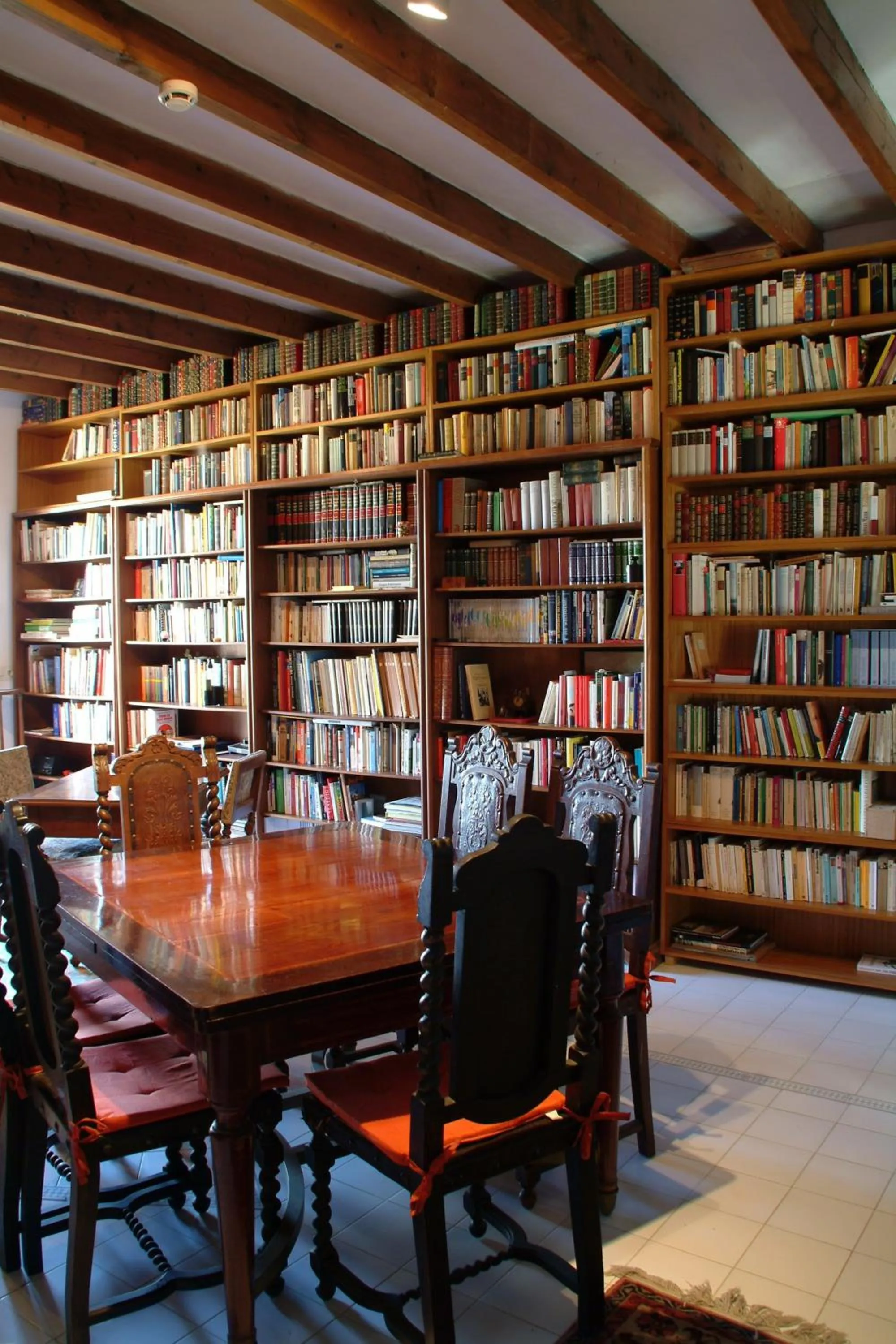 Library in Son Baulo